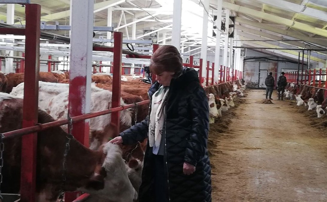 Татьяна Гигель в ходе рабочей командировки по региону побывала на новой ферме в селе Гусевка Чойского района