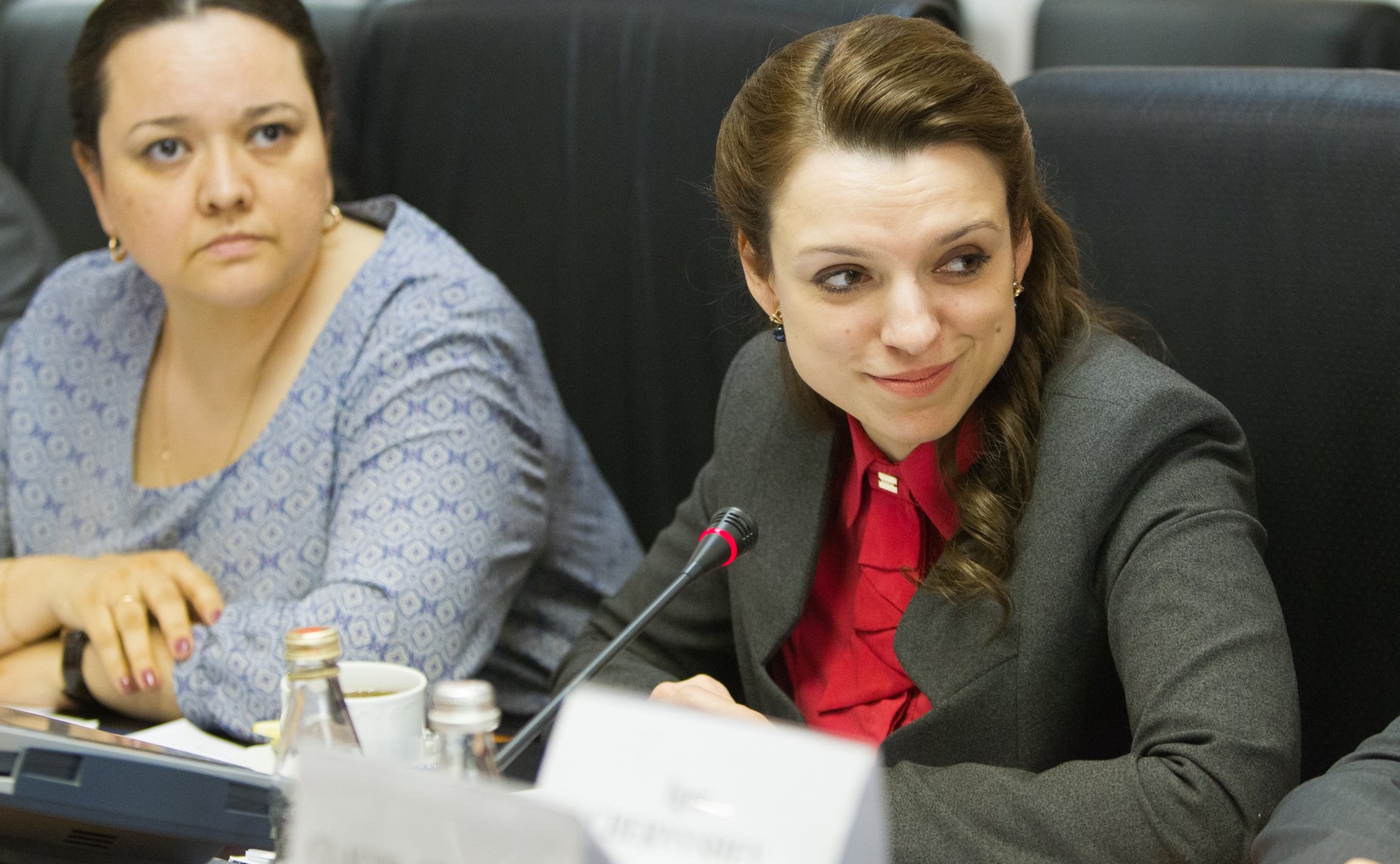 Встреча группы по сотрудничеству Совета Федерации с Сенатом Французской Республики с парламентской делегацией Франции