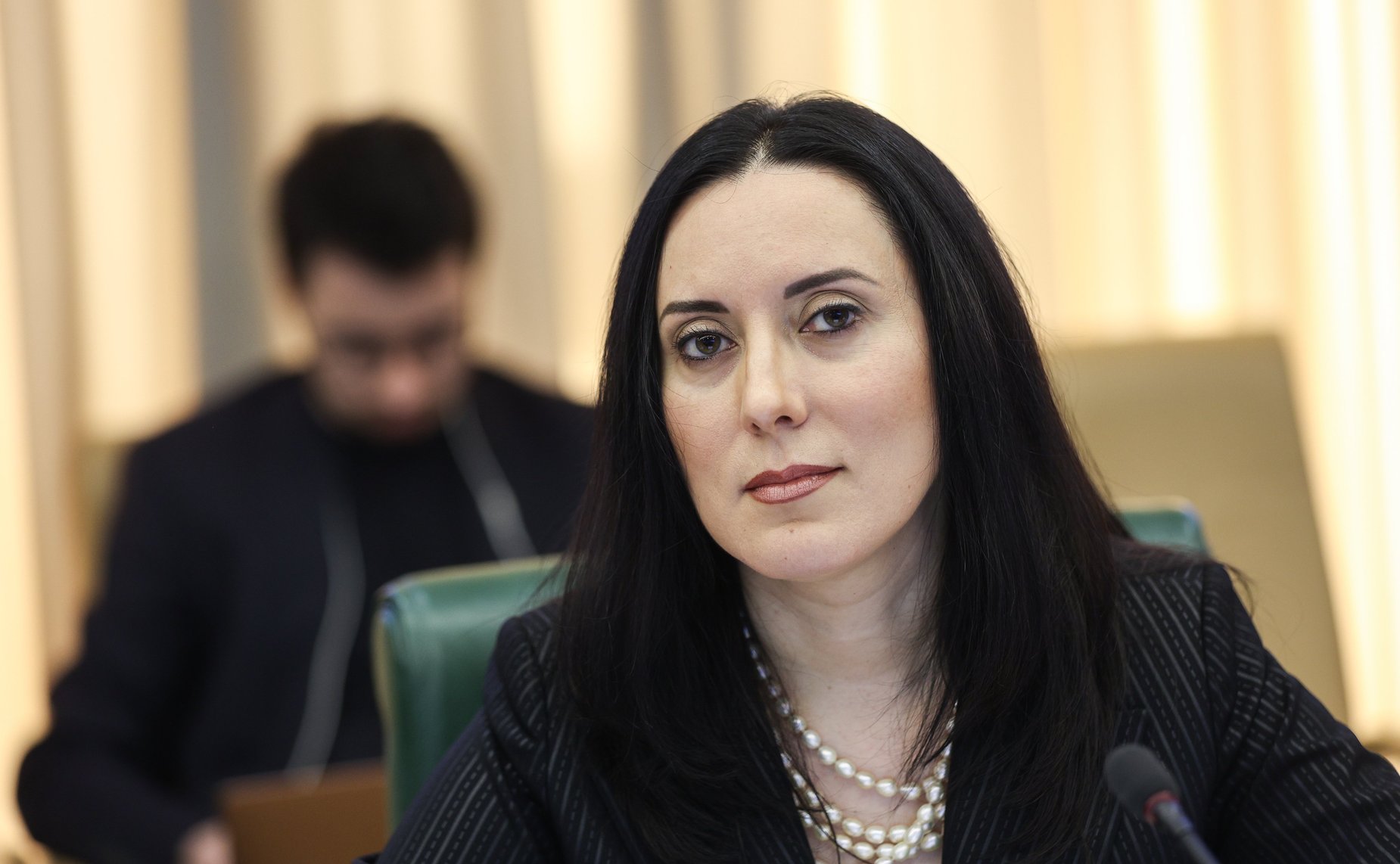 Круглый стол Комитета СФ по конституционному законодательству и государственному строительству