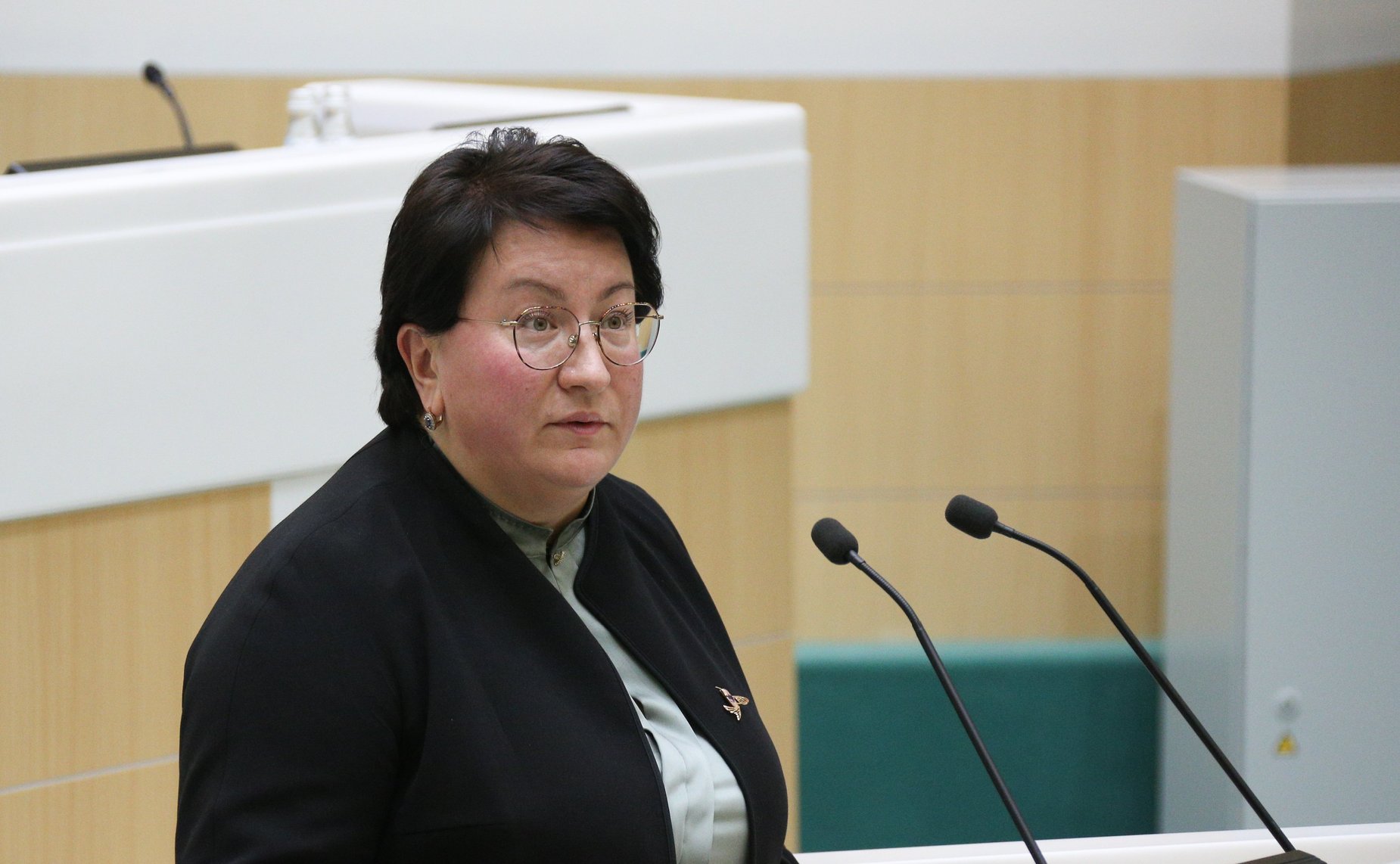 499-е заседание Совета Федерации