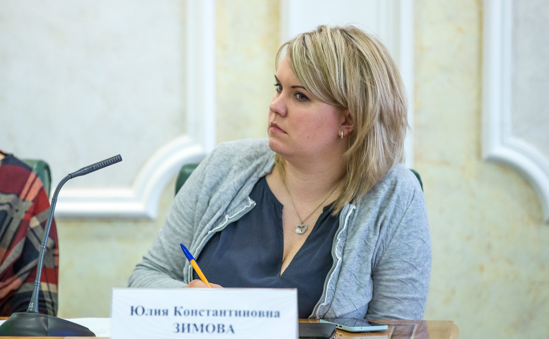 Публичное обсуждение проекта федерального закона, касающегося придания государственного статуса программе по установкам беби-боксов