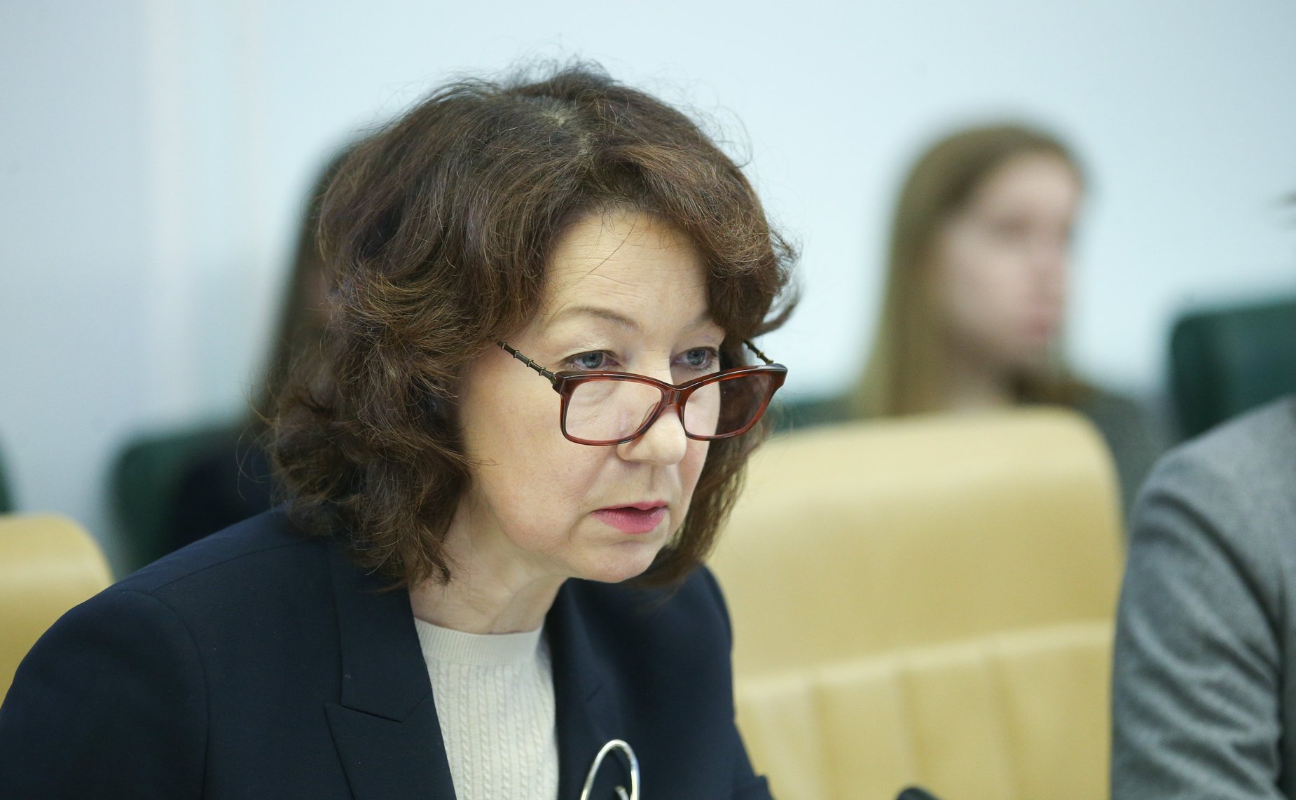 Заседание экспертного совета по социальному развитию при Комитете СФ по социальной политике