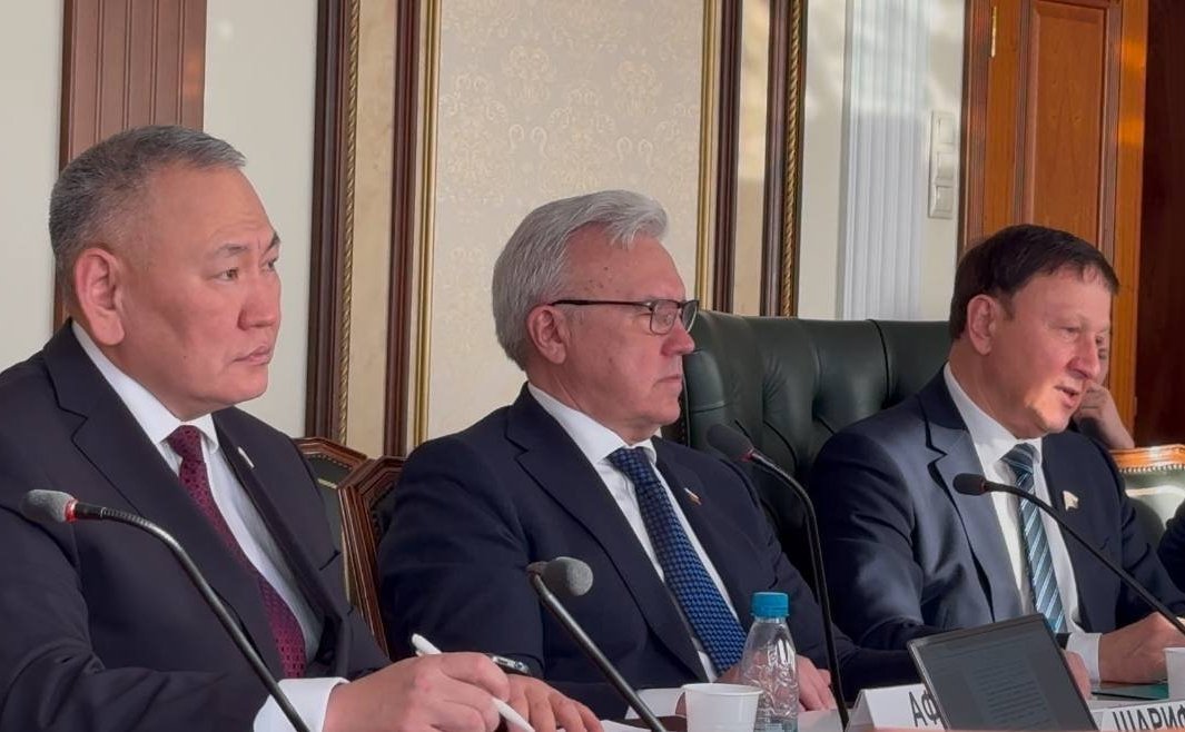 Александр Ролик провел совещание рабочей группы по подготовке предложений к тематической сессии по вопросам совершенствования законодательного регулирования преференциальных режимов Дальнего Востока и Арктики на X Восточном экономическом форуме