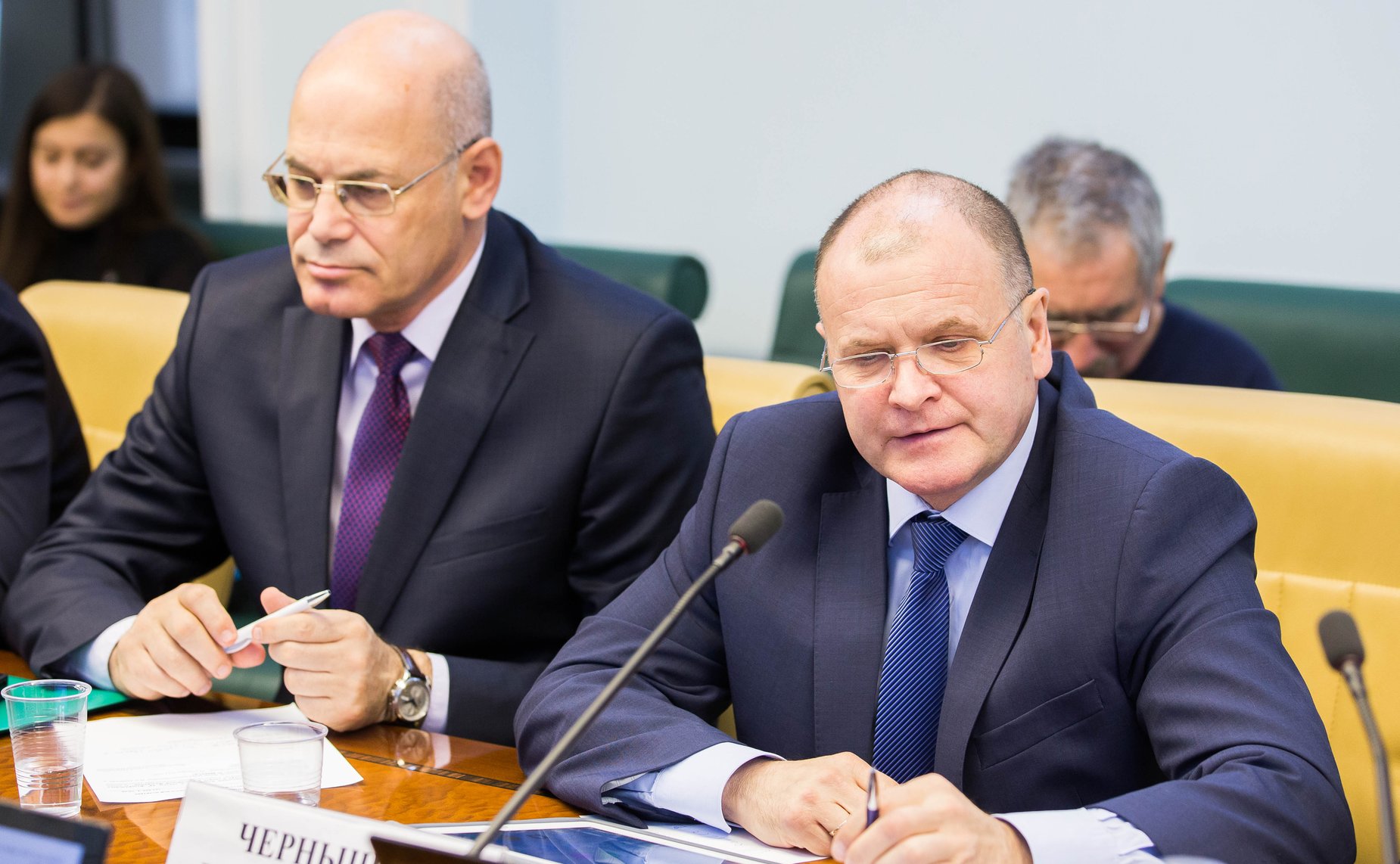 В. Круглый и И. Чернышев Заседание Комитета Совета Федерации по социальной политике