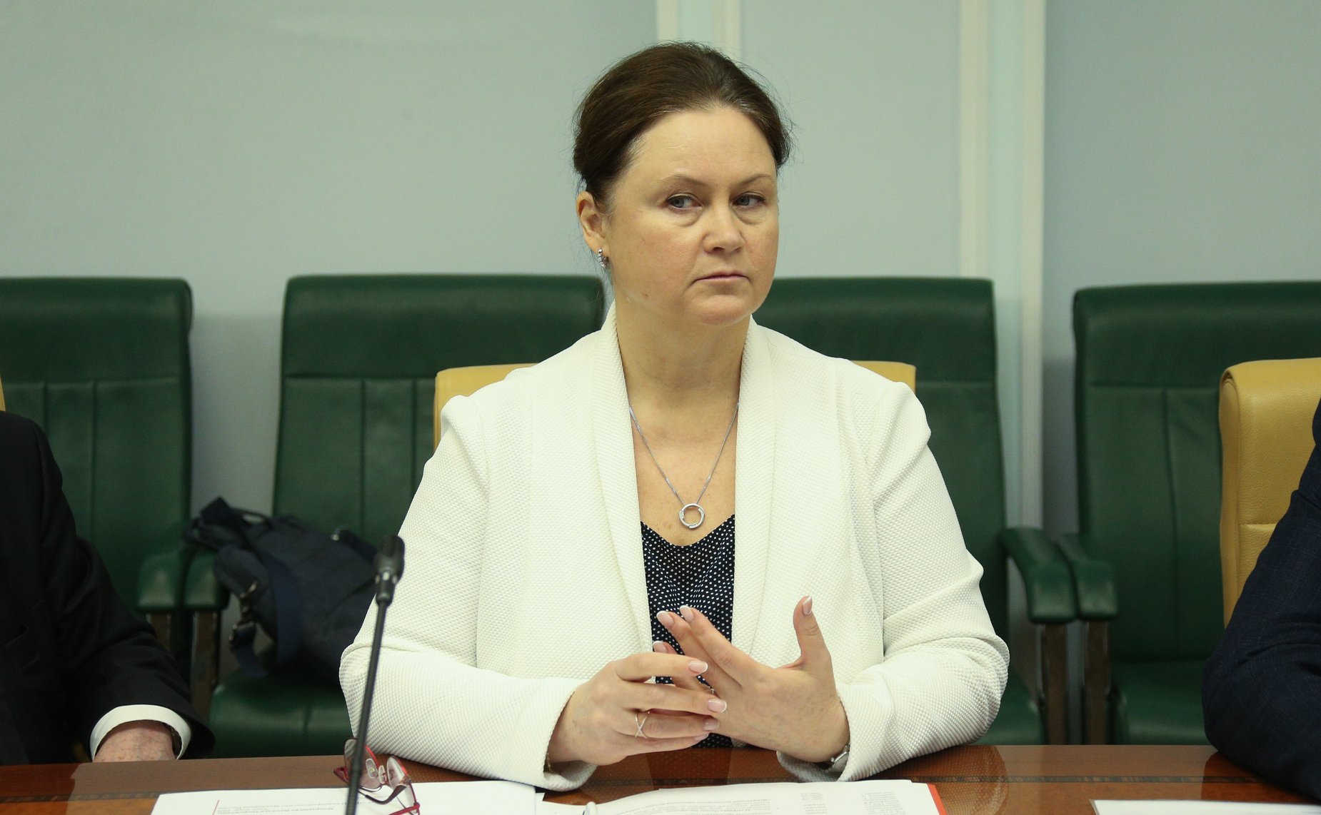 Заседание Экспертного совета по здравоохранению при Комитете СФ по социальной политике