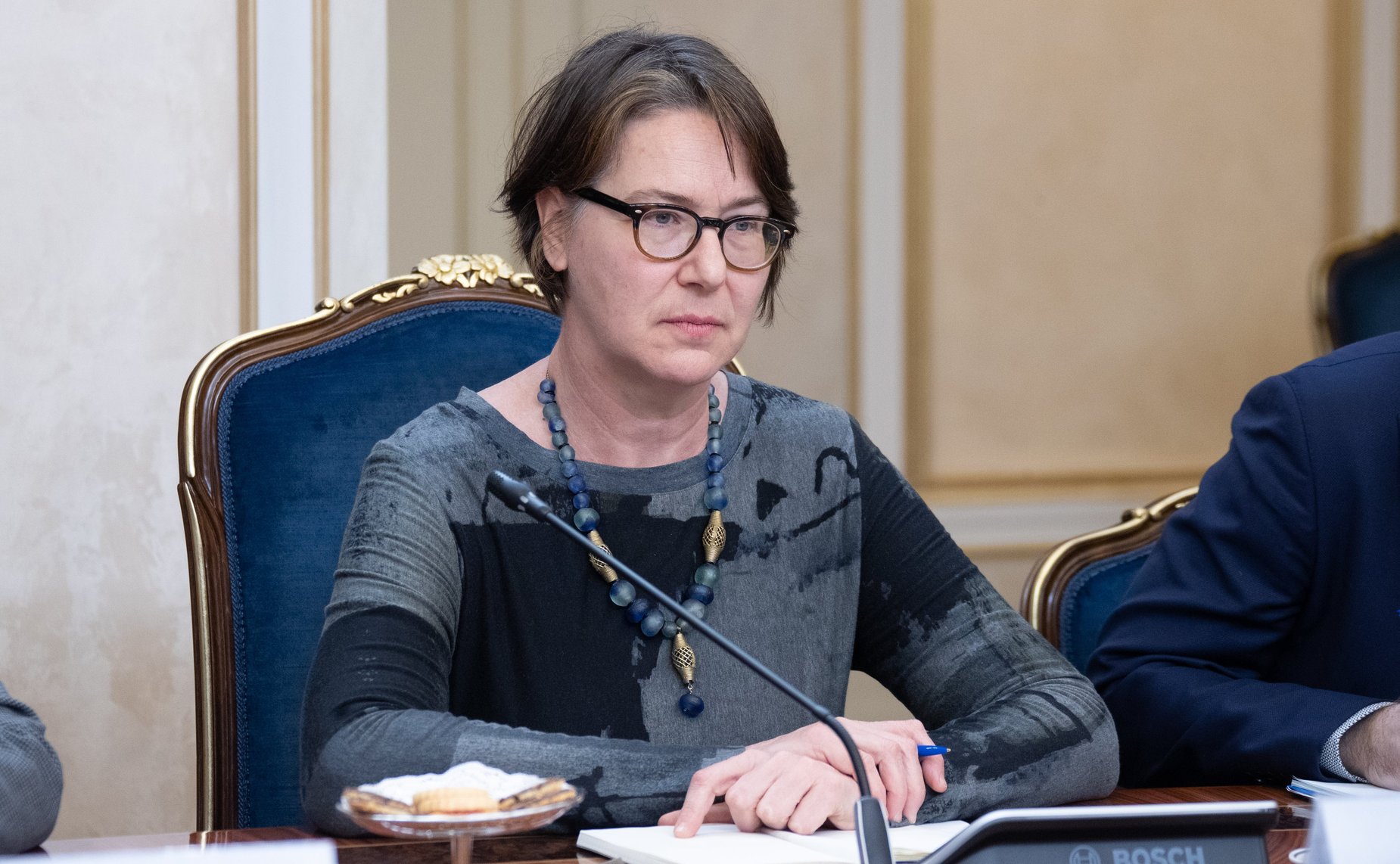 Встреча Юрия Воробьева с руководителем делегации Международного Красного Креста на территории Украины Флоранс Жиллет
