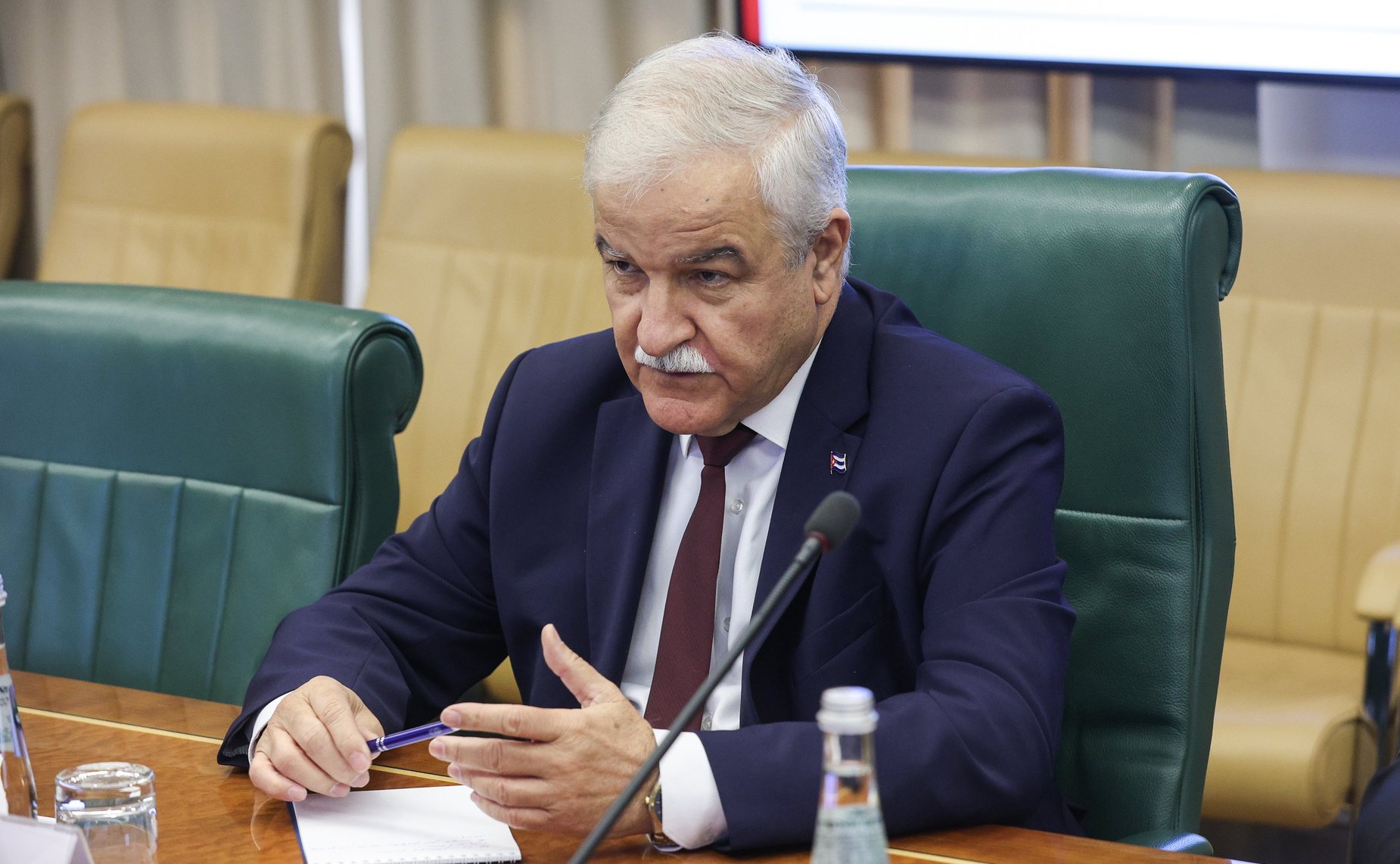 Встреча Галины Кареловой с Чрезвычайным и Полномочным Послом Республики Куба в Российской Федерации