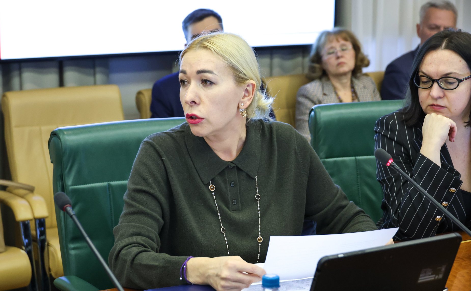 Заседание Комитета Совета Федерации по международным делам