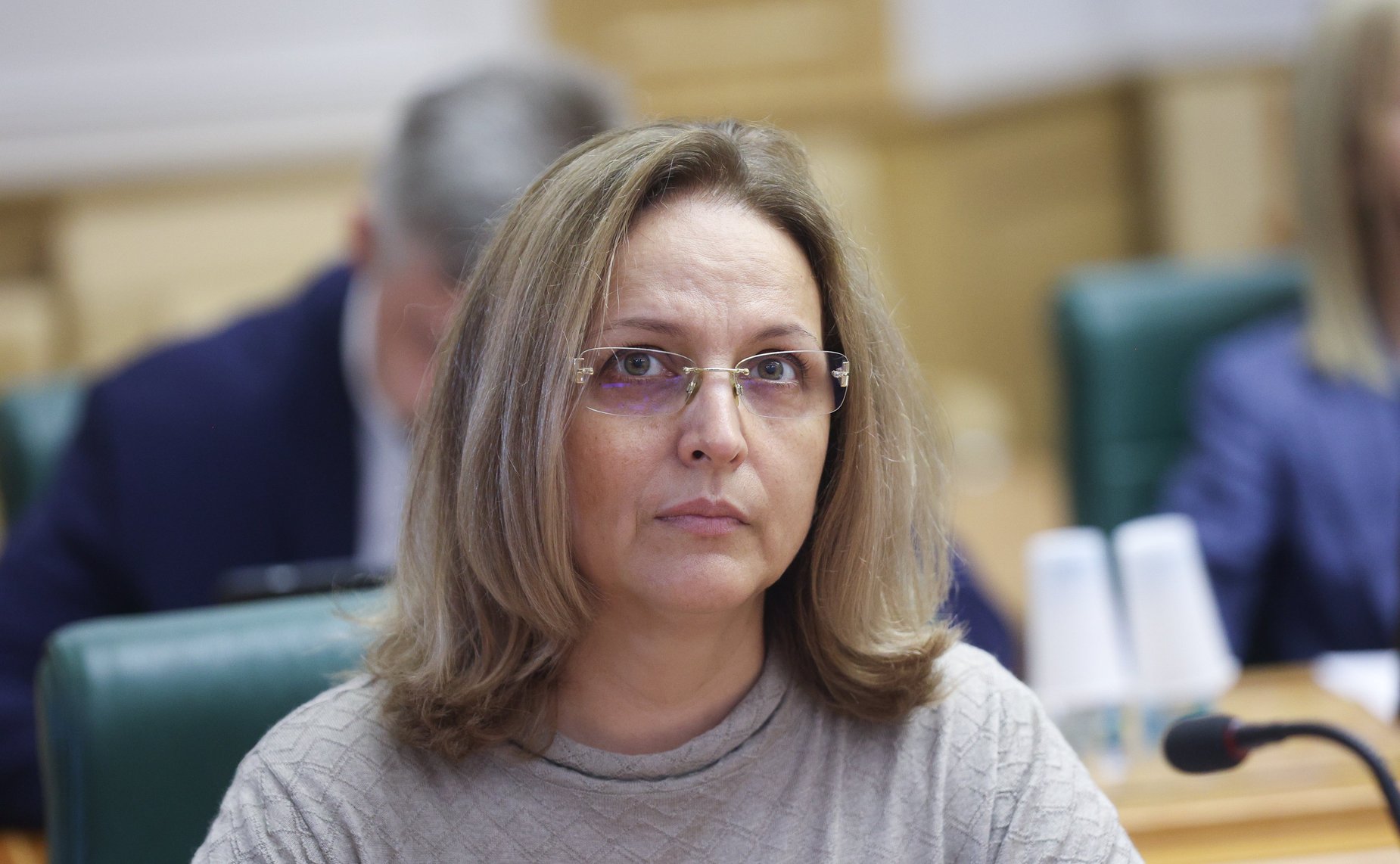 Заседание экспертно-консультативного совета при Комитете Совета Федерации по конституционному законодательству и государственному строительству