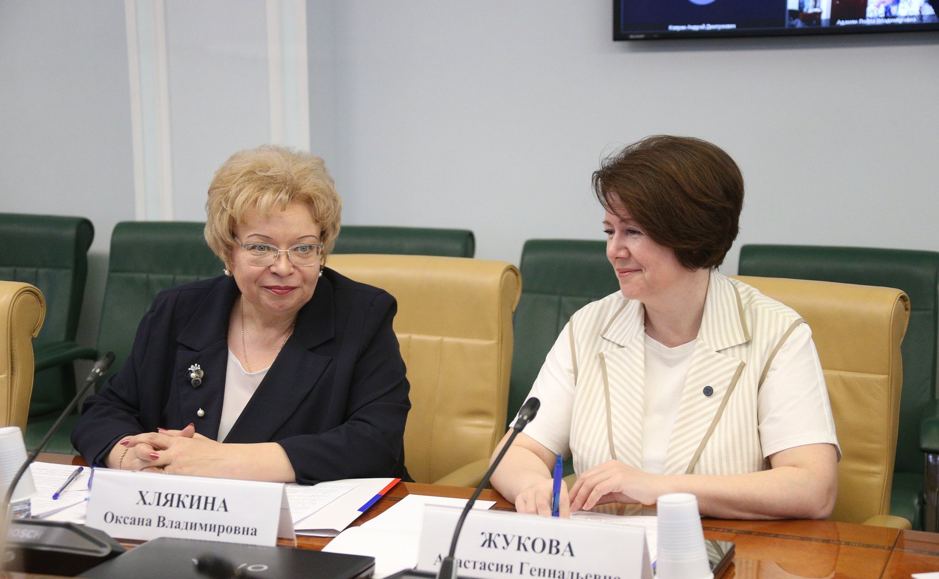 «Круглый стол» Комитета СФ по социальной политике