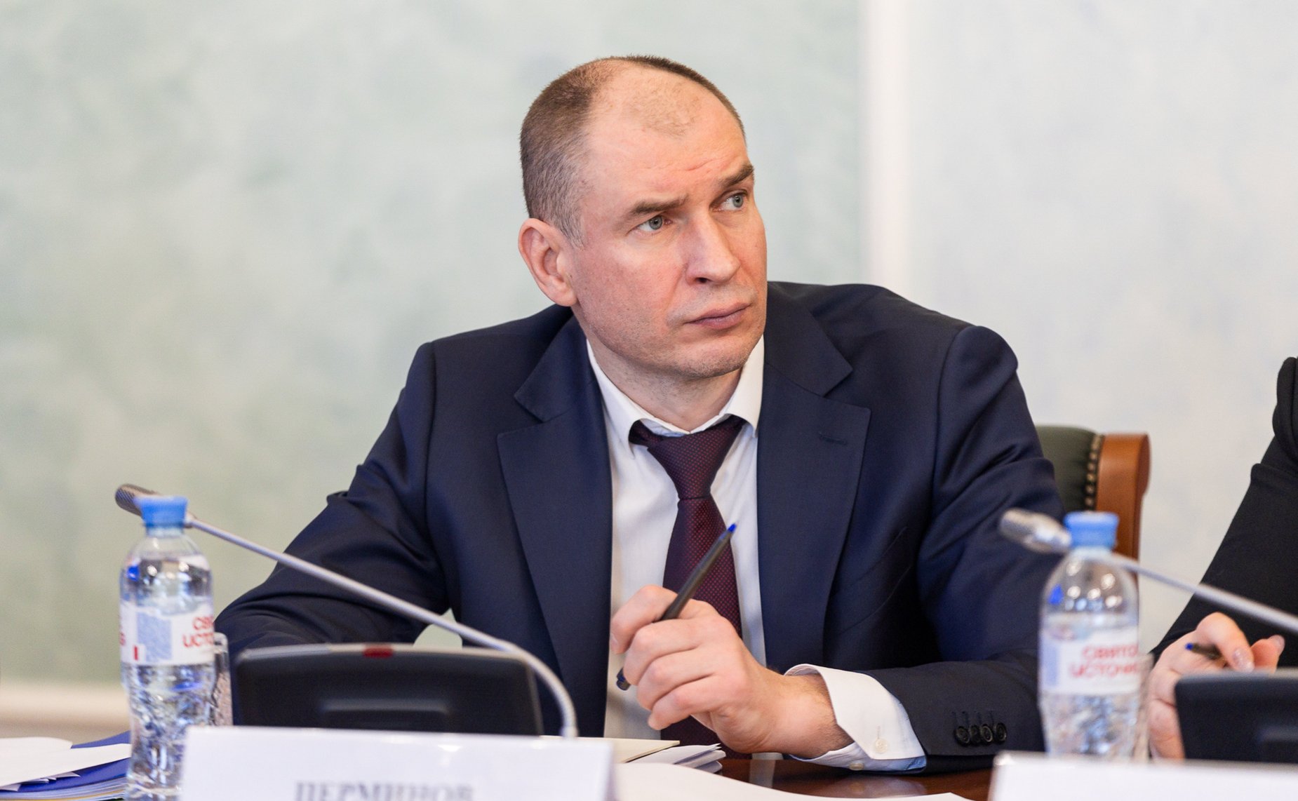 Дмитрий Перминов