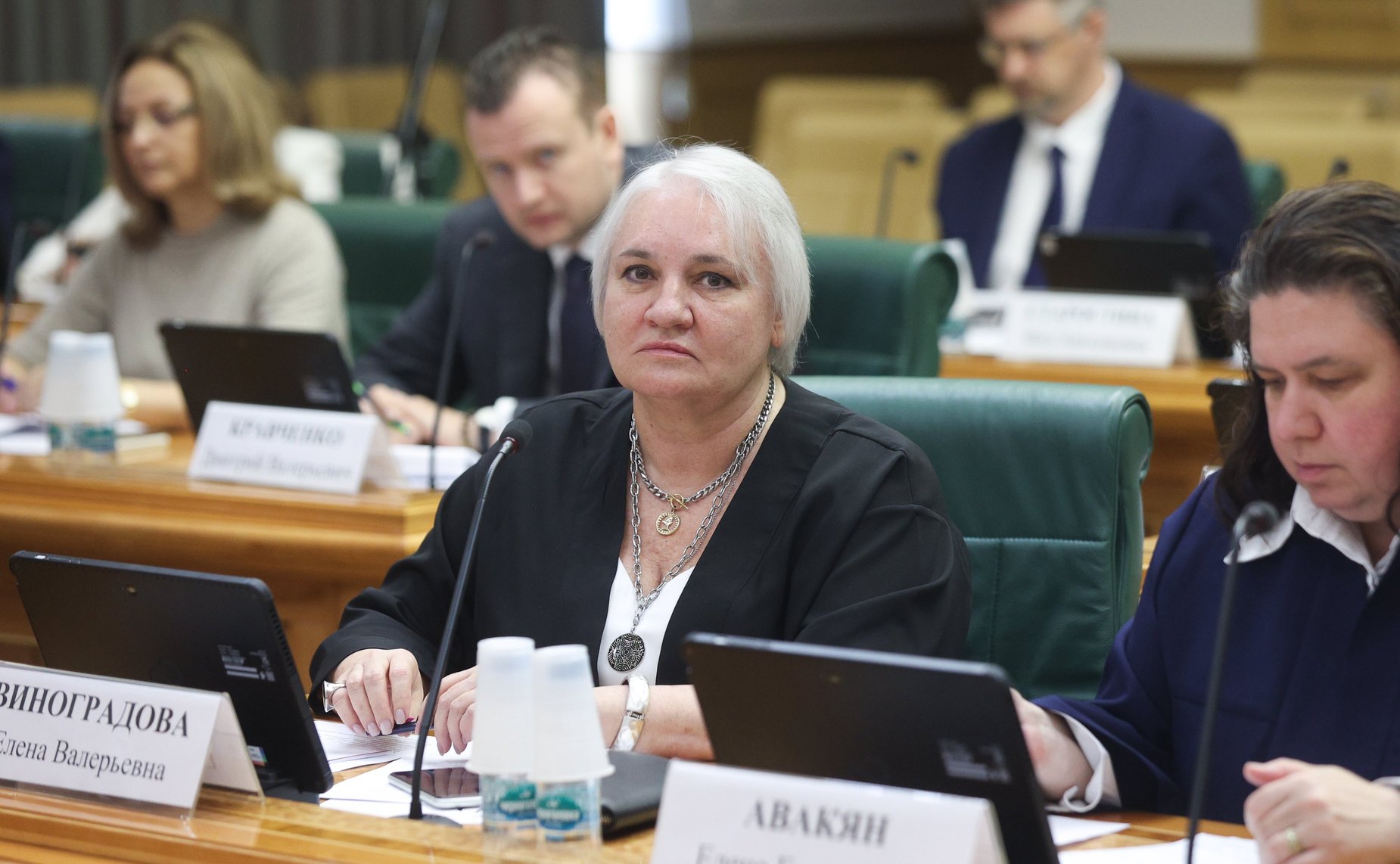 Заседание экспертно-консультативного совета при Комитете Совета Федерации по конституционному законодательству и государственному строительству