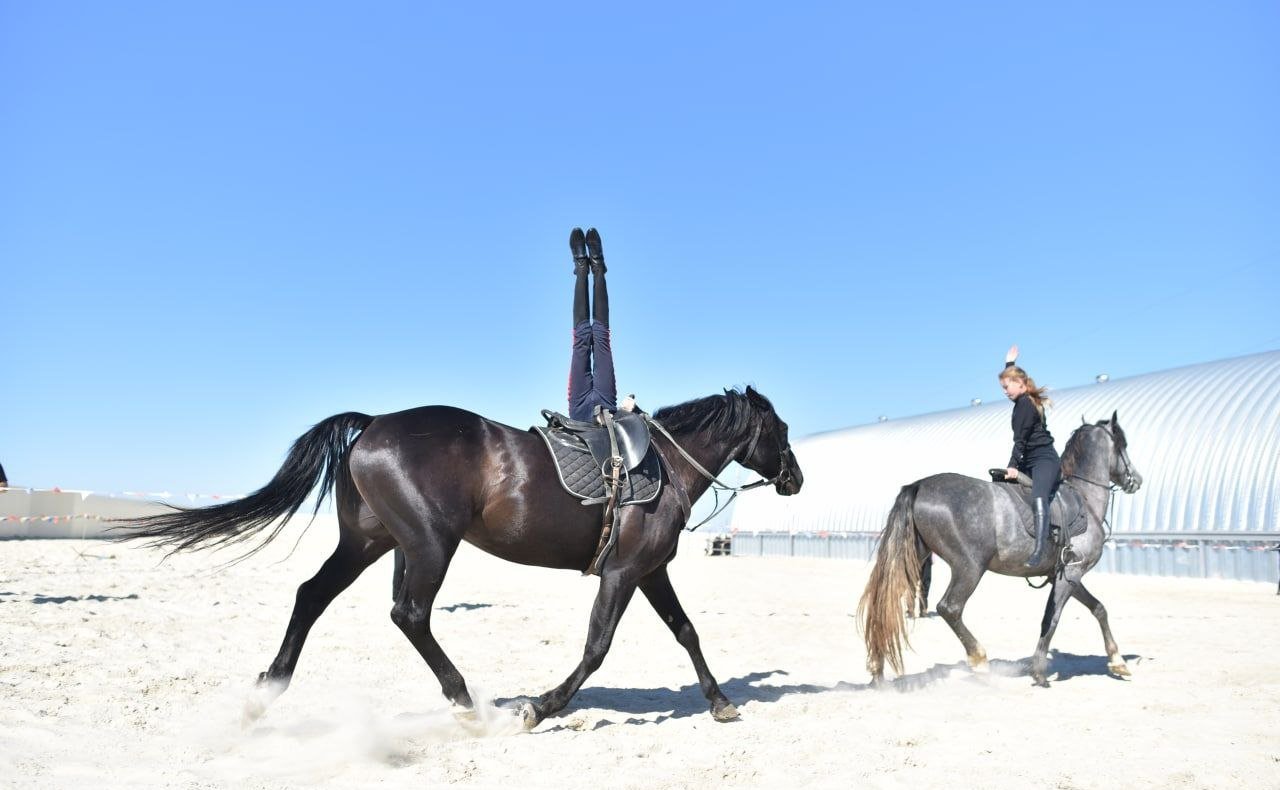 Открытие в Севастополе Единого центра кавалерии и кинологии