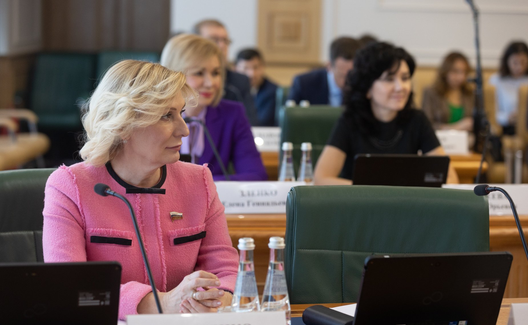 Заседание Организационного комитета по подготовке и проведению X Невского международного экологического конгресса