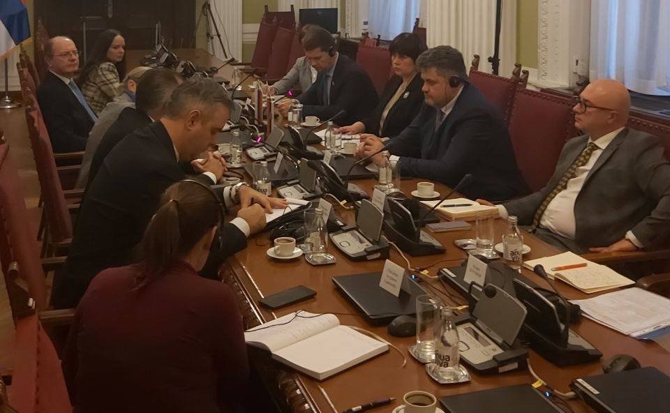 Группа дружбы Совета Федерации с Парламентом Республики Сербии провела ряд встреч в сербском Парламенте