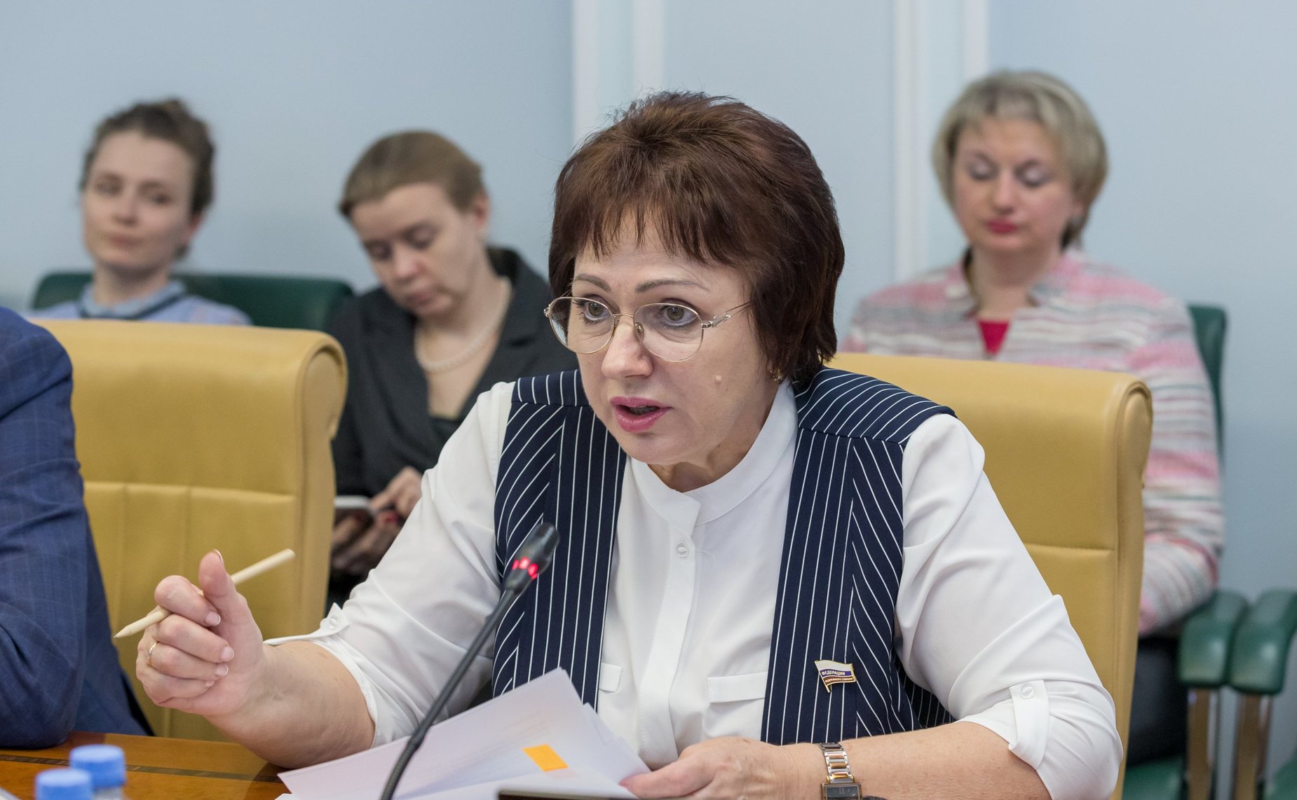 Елена Бибикова