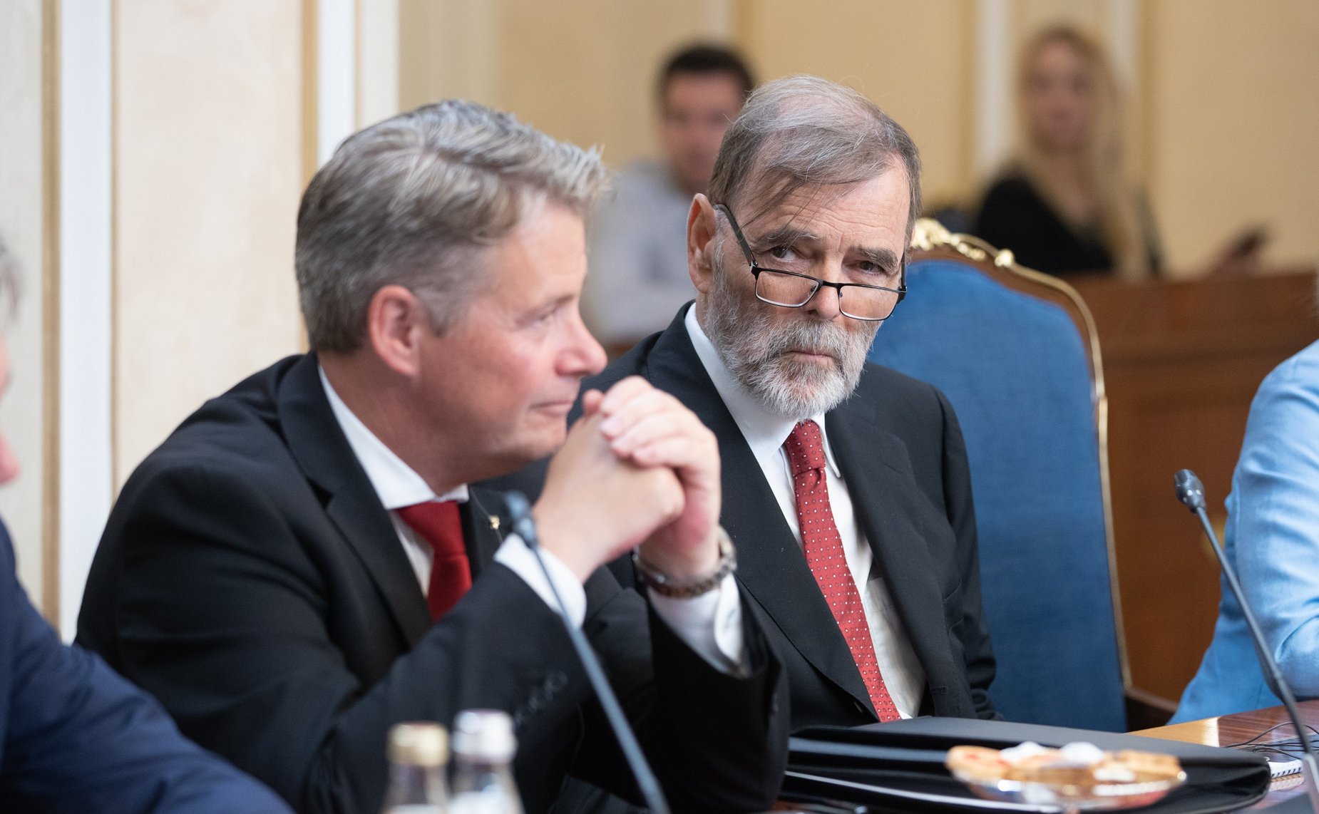 Встреча первого заместителя Председателя Совета Федерации Николая Федорова с председателем Комитета по вопросам внешней политики и обороны Стортинга Королевства Норвегия Анникен Хюитфельдт