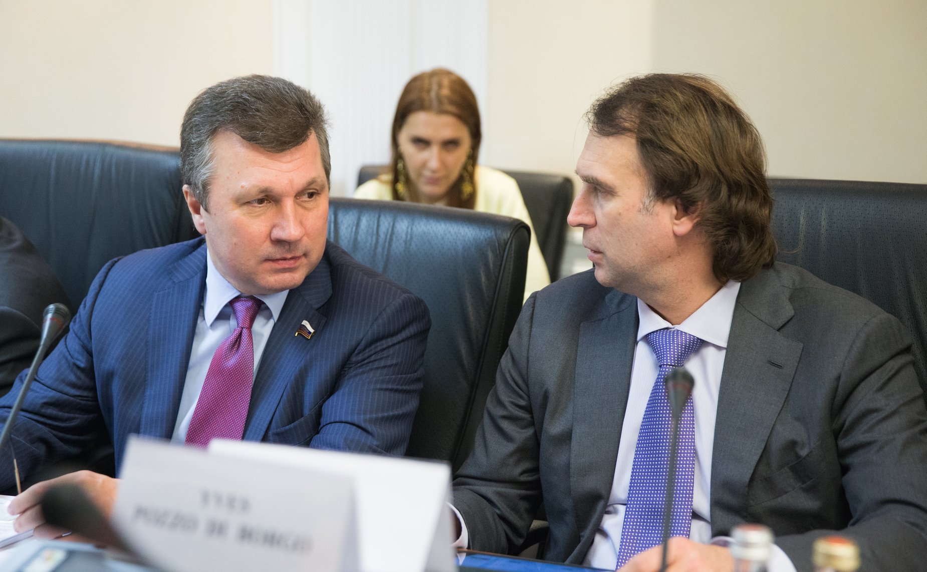 Встреча группы по сотрудничеству Совета Федерации с Сенатом Французской Республики с парламентской делегацией Франции