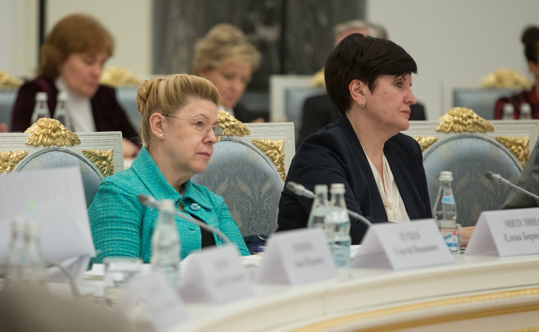 Е. Мизулина