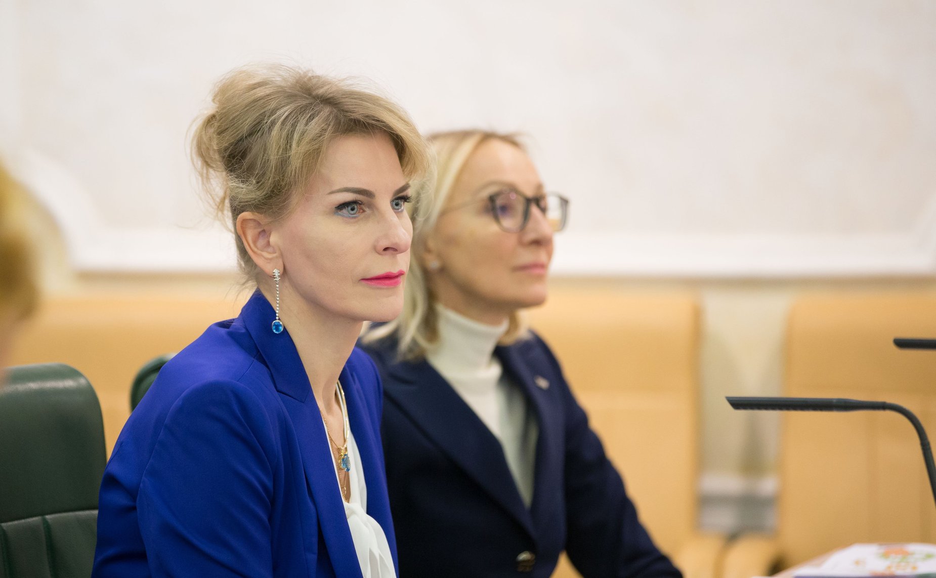 Заседание Совета по развитию социальных инноваций субъектов РФ на тему «Актуальные вопросы и перспективы развития социального франчайзинга в России»