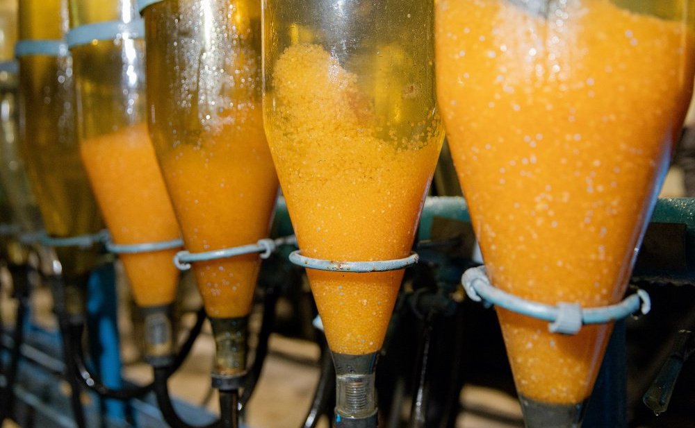 Денис Гусев принял участие в работе VIII Международного рыбопромышленного форума в Санкт-Петербурге