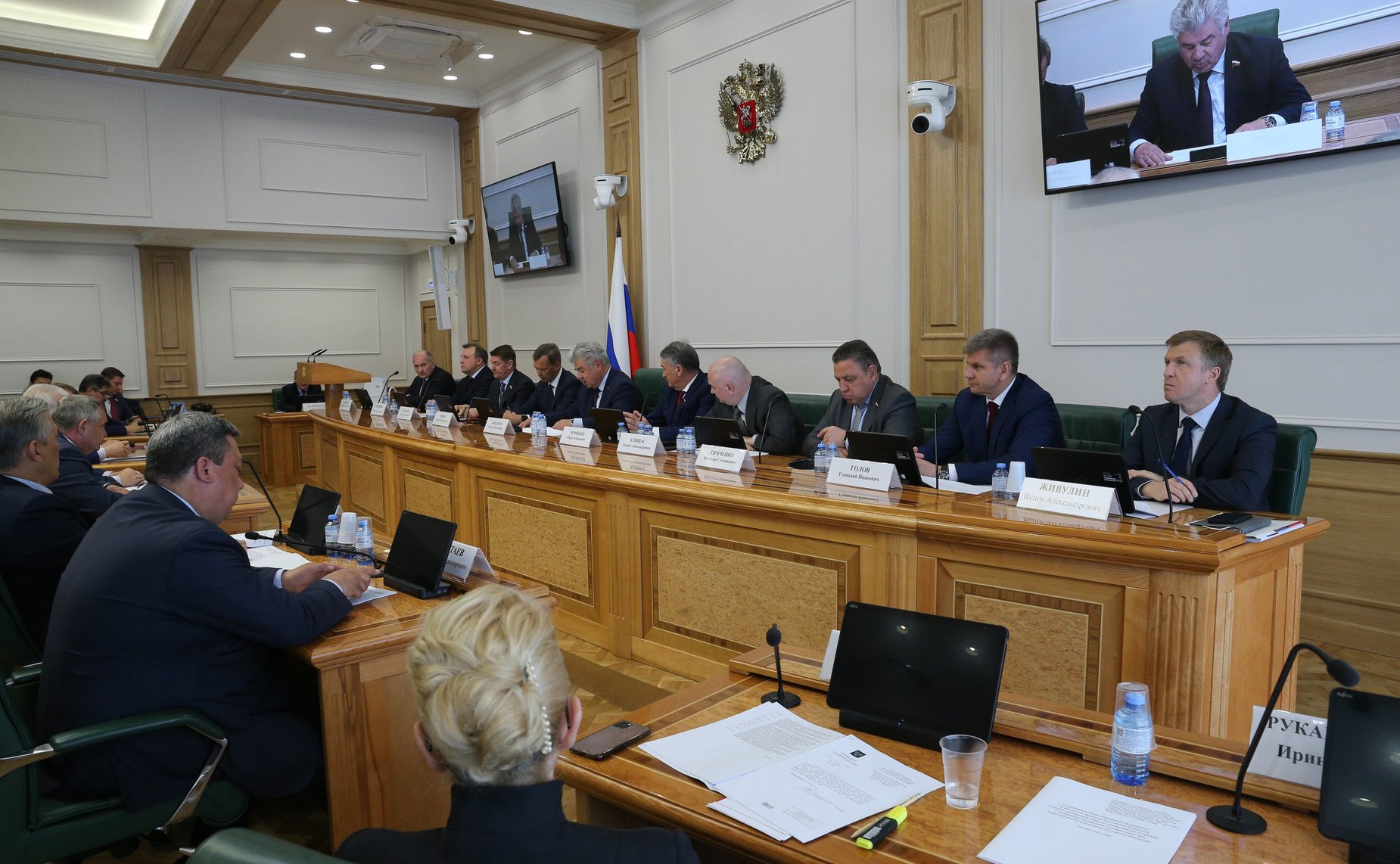 Совместное заседание комитетов СФ для проведения консультаций по кандидатуре А. Куренкова для назначения на должность главы МЧС