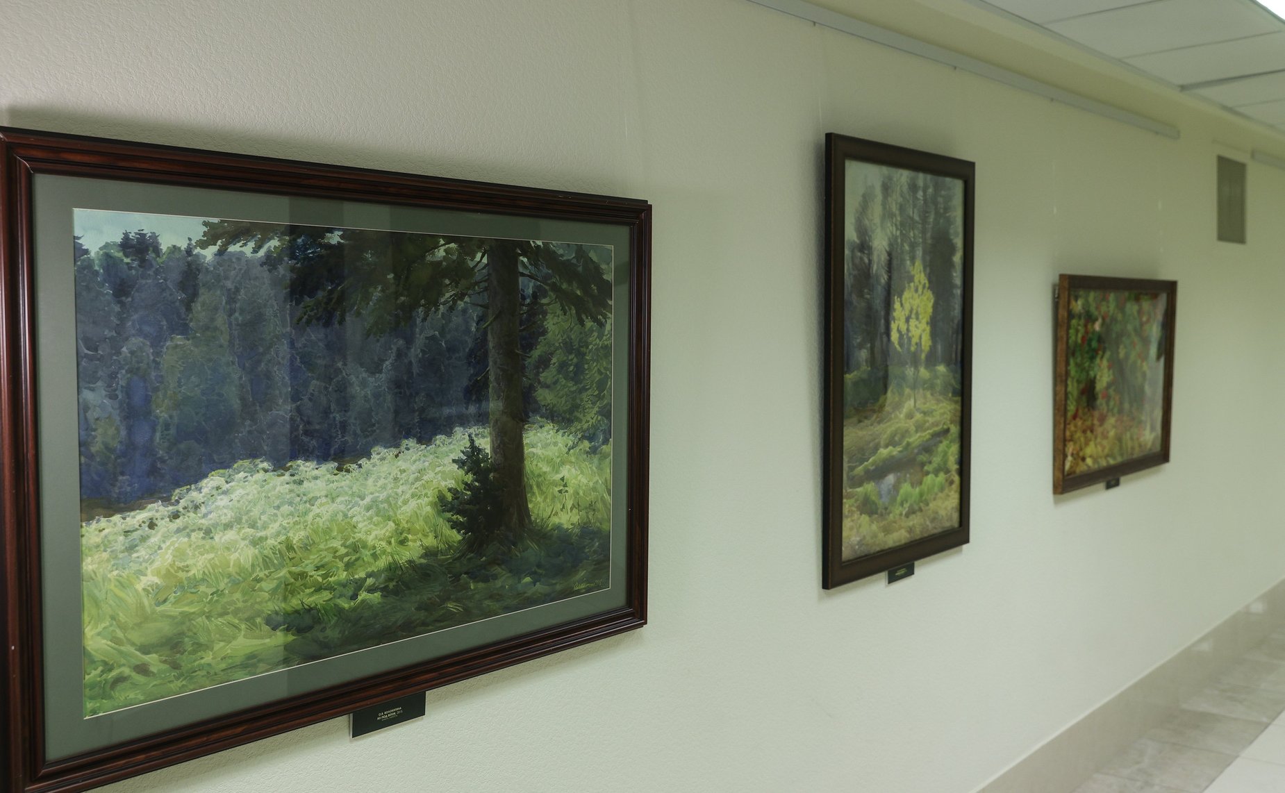 В Совете Федерацию открылась выставка картин «Сказки русского леса»