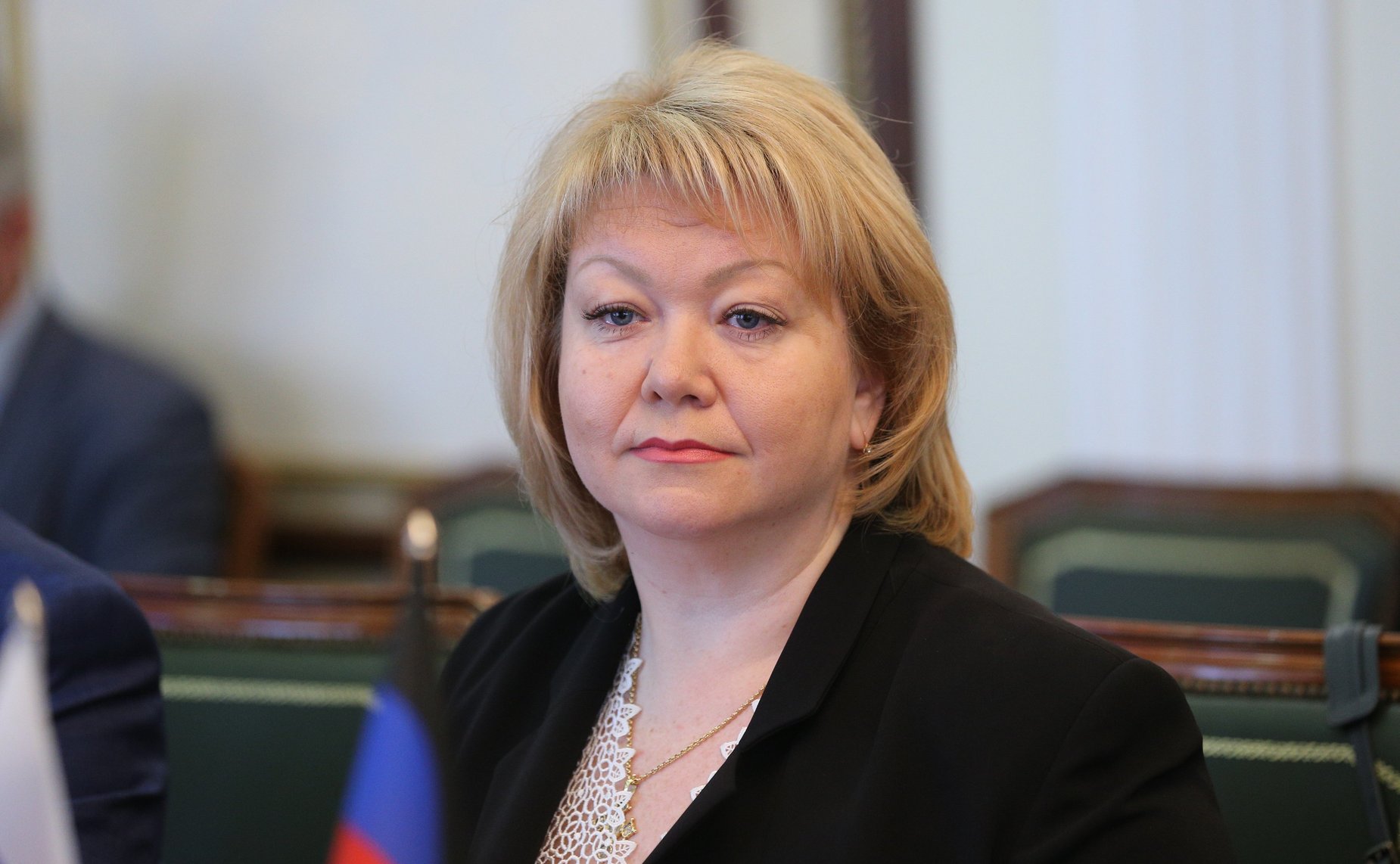 Встреча заместителя Председателя Совета Федерации Константина Косачева с Председателем Народного Совета Донецкой Народной Республики Владимиром Бидёвкой