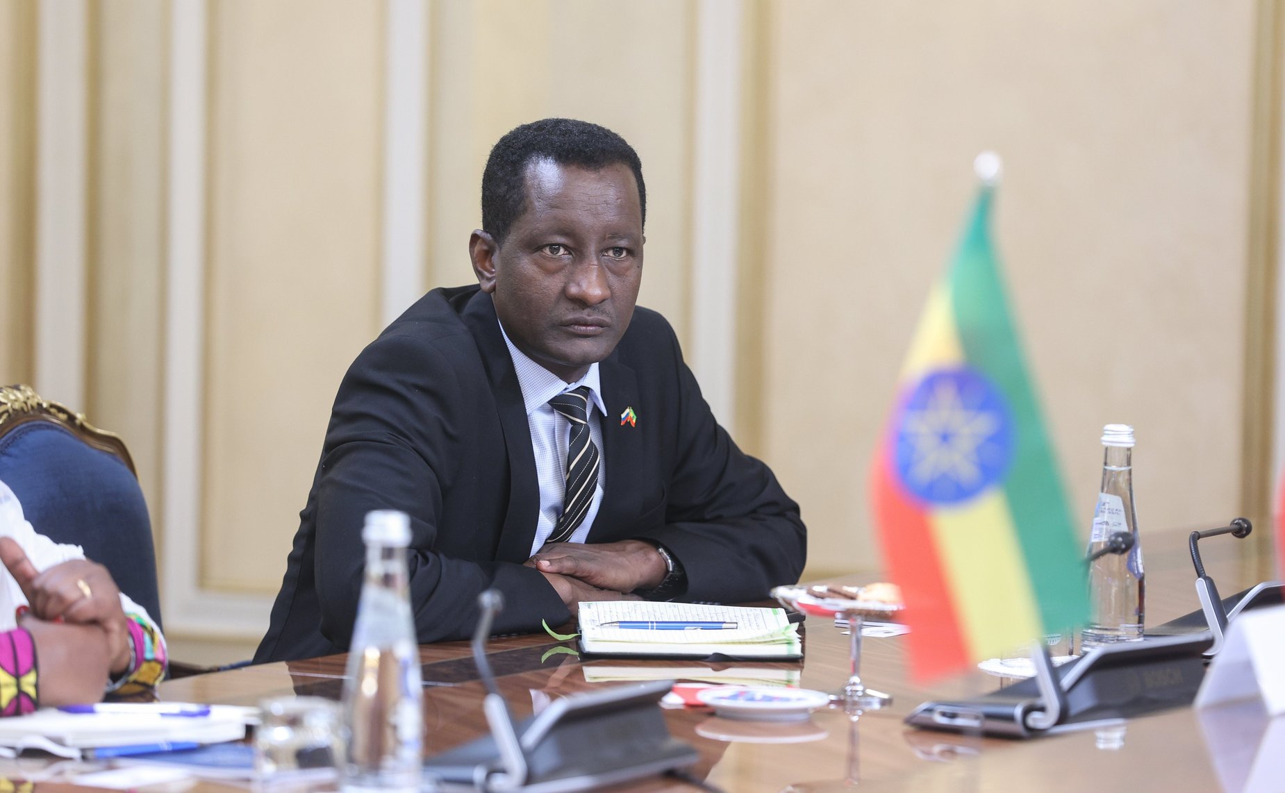 Валентина Матвиенко провела встречу с Председателем Совета Федерации Федеративной Демократической Республики Эфиопии Агеньеху Тешагером