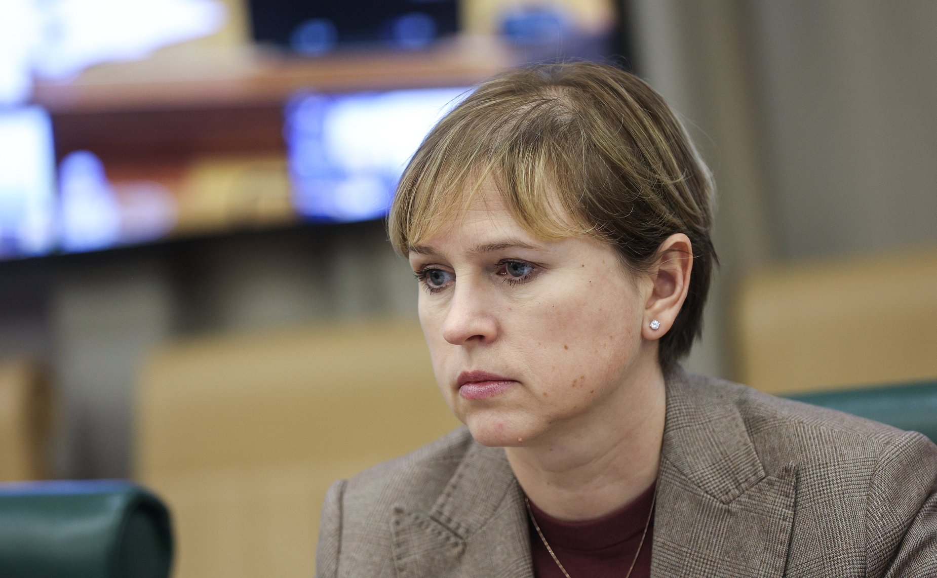 Круглый стол Комитета СФ по экономической политике на тему «Актуальные вопросы развития российской электроэнергетики»