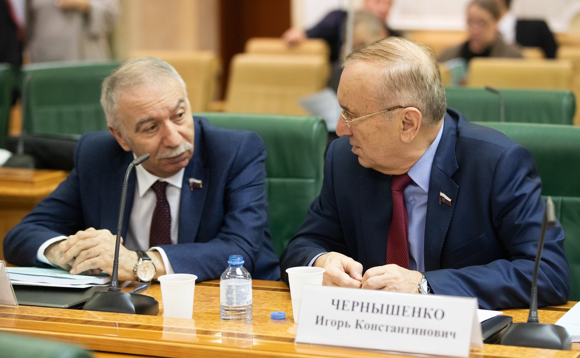 Арамаис Даллакян и Игорь Чернышенко