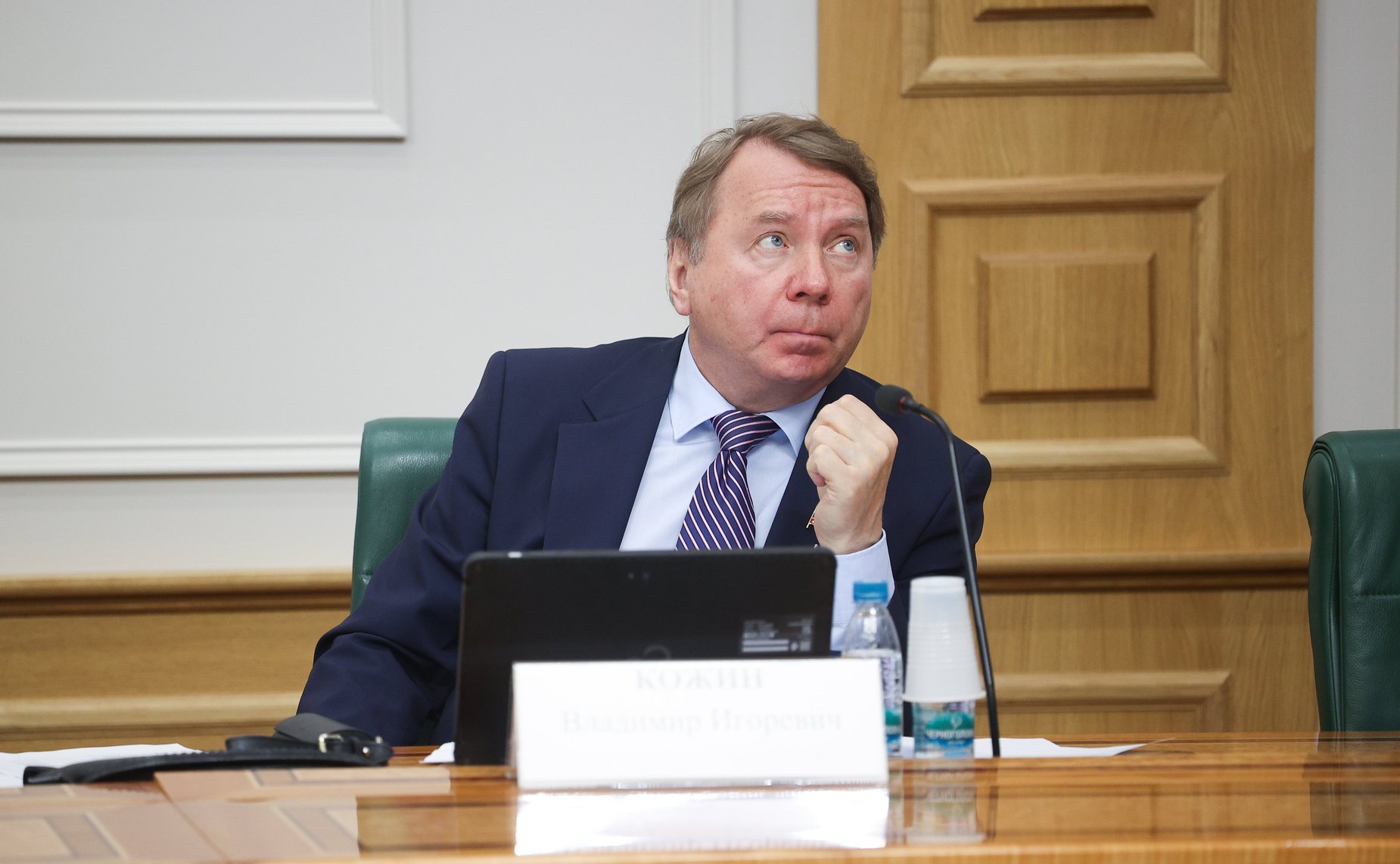 Владимир Кожин