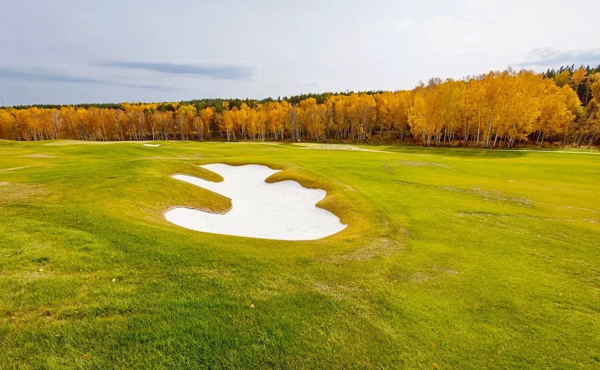 Александр Усс принял участие в высадке деревьев в экопарке «Юдинская долина»