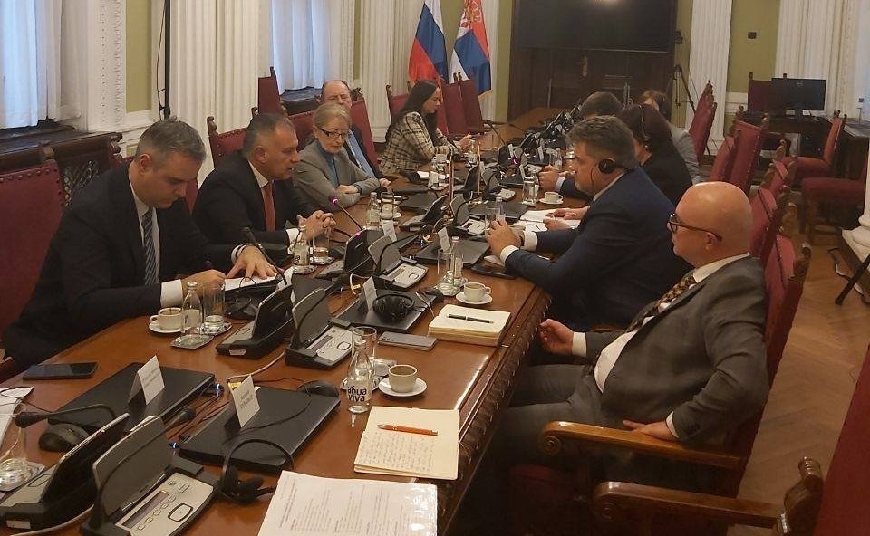 Группа дружбы Совета Федерации с Парламентом Республики Сербии провела ряд встреч в сербском Парламенте