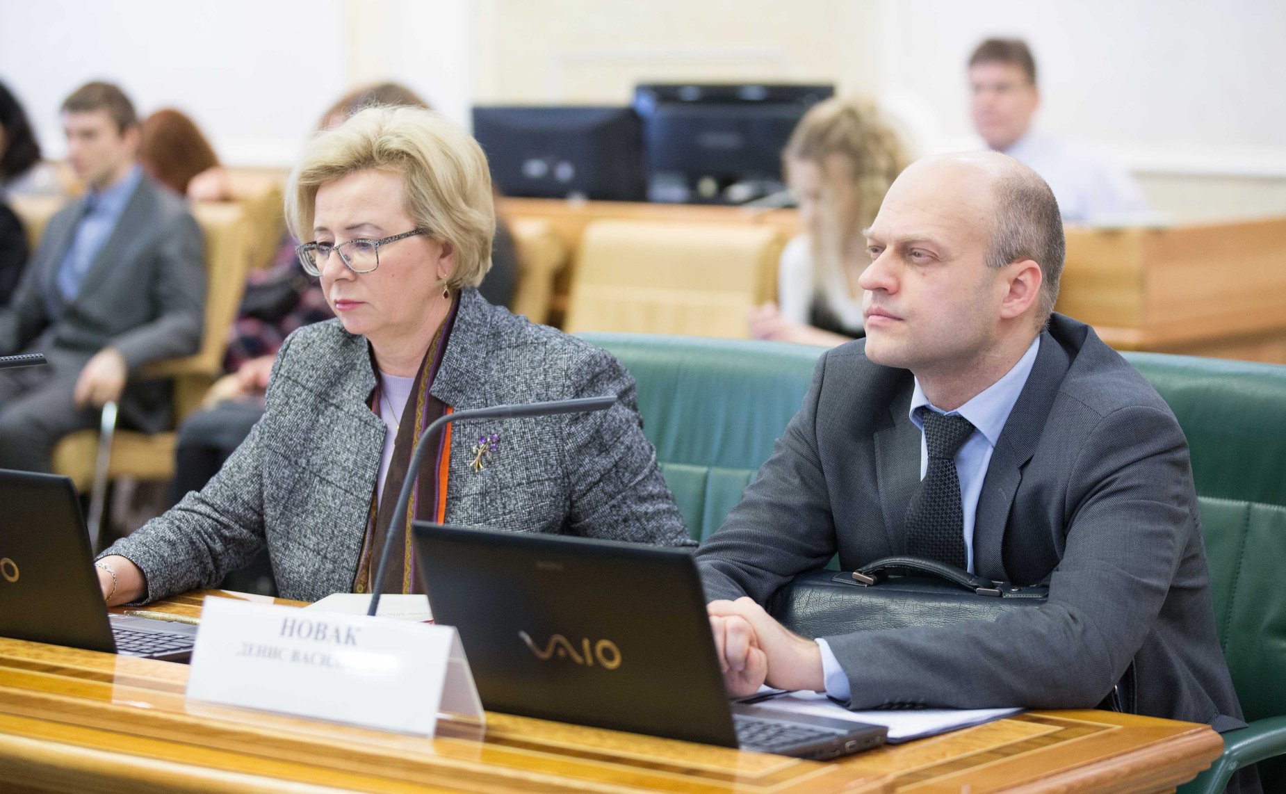 Заседание Комитета Совета Федерации по конституционному законодательству и государственному строительству