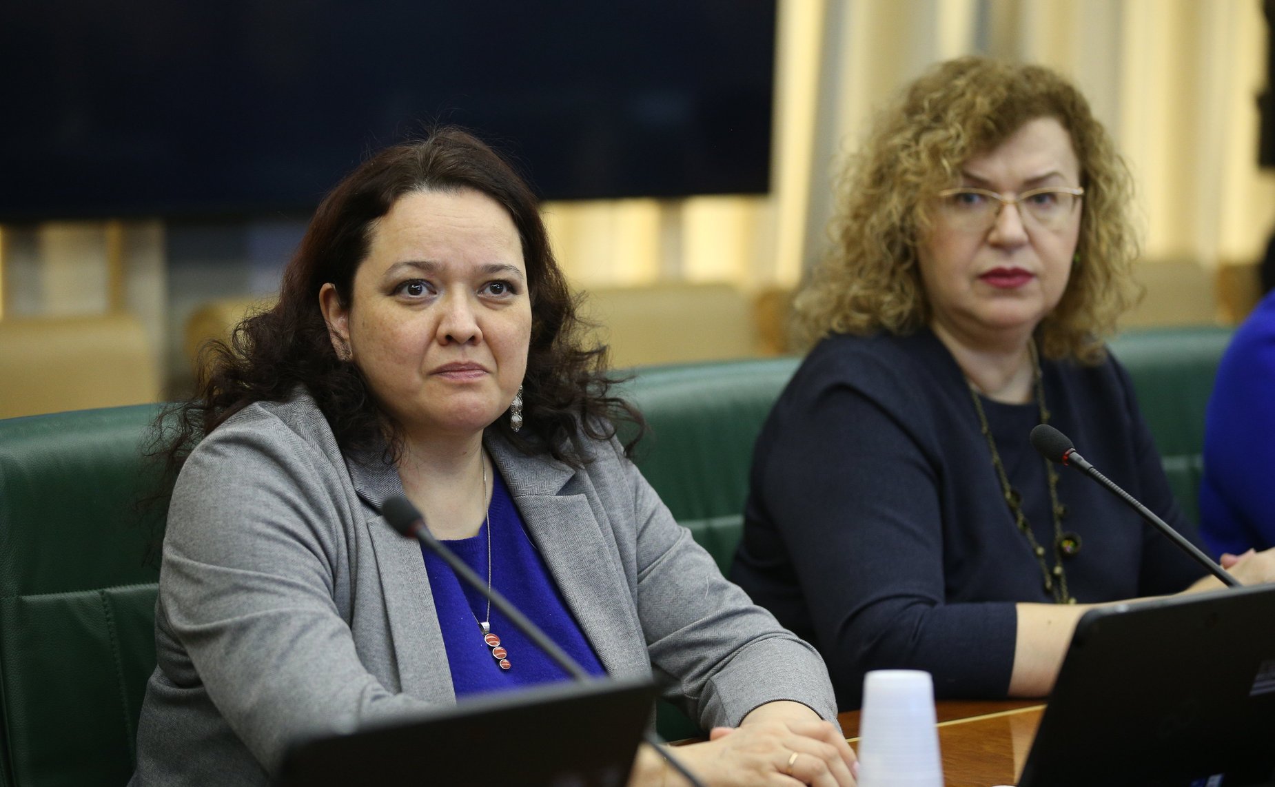 Заседание Комитета СФ по международным делам