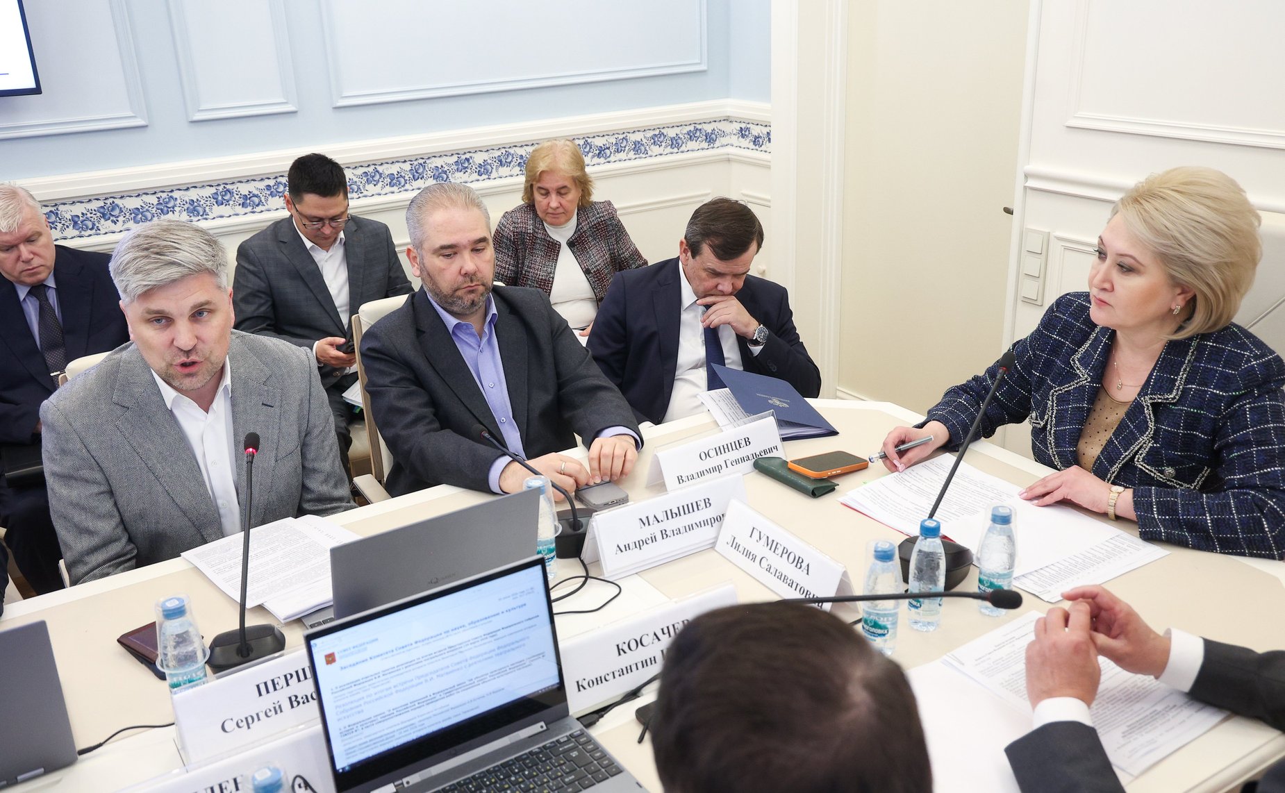 Заседание Комитета Совета Федерации по науке, образованию и культуре