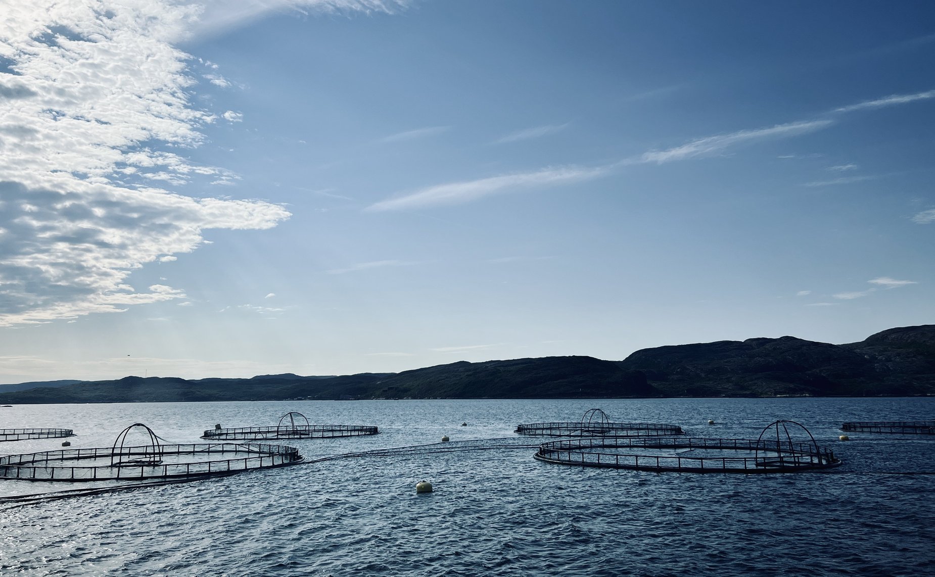 Татьяна Сахарова посетила предприятие по выращиванию атлантического лосося в Мурманской области