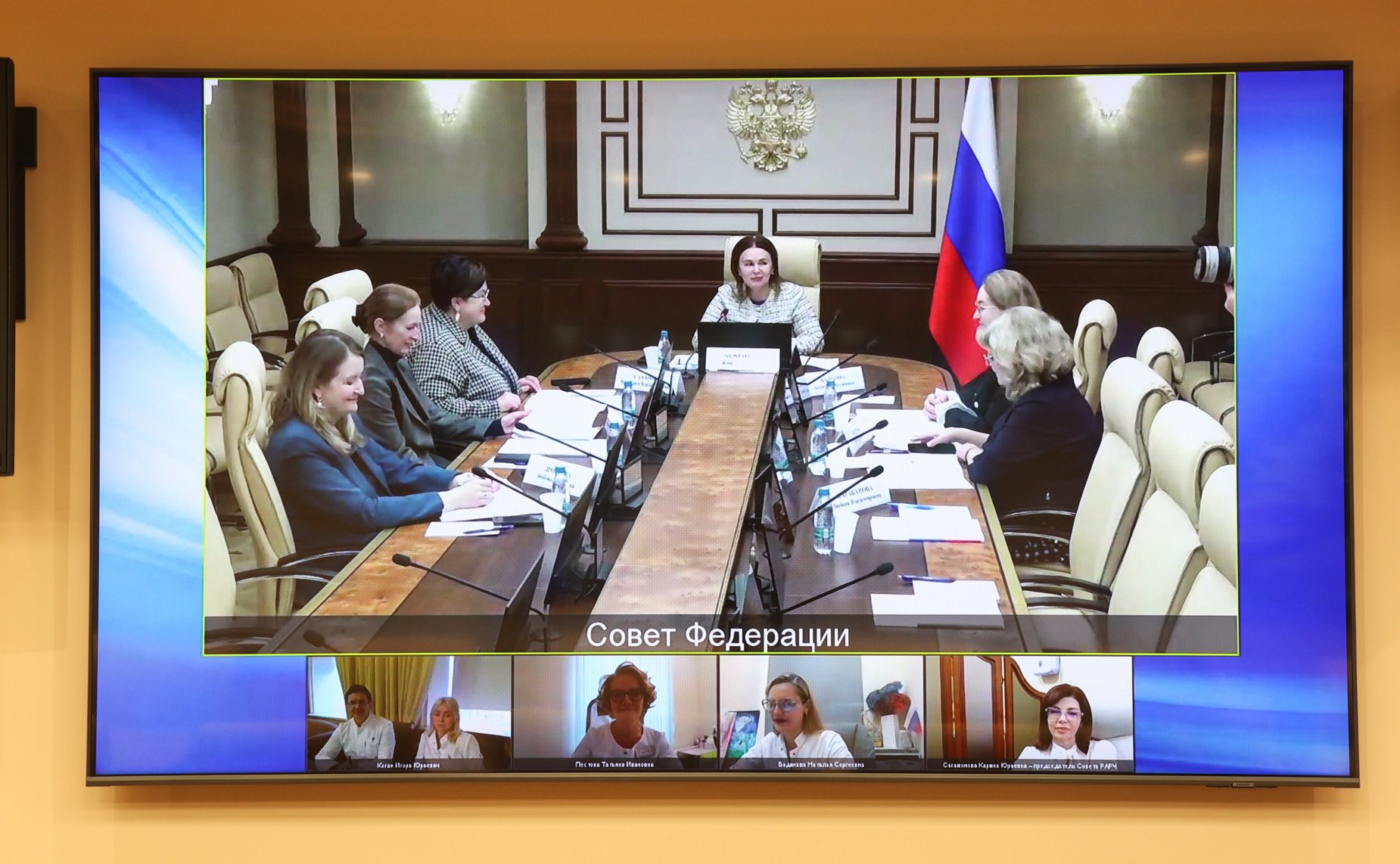 Круглый стол Комитета Совета Федерации по социальной политике на тему «Поддержание репродуктивного здоровья населения: лучшие региональные практики»