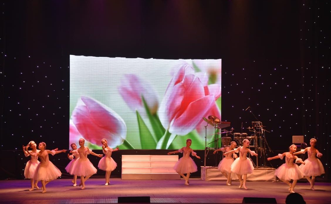 Екатерина Алтабаева вручила благодарности Председателя СФ севастопольскому коллективу ДКР