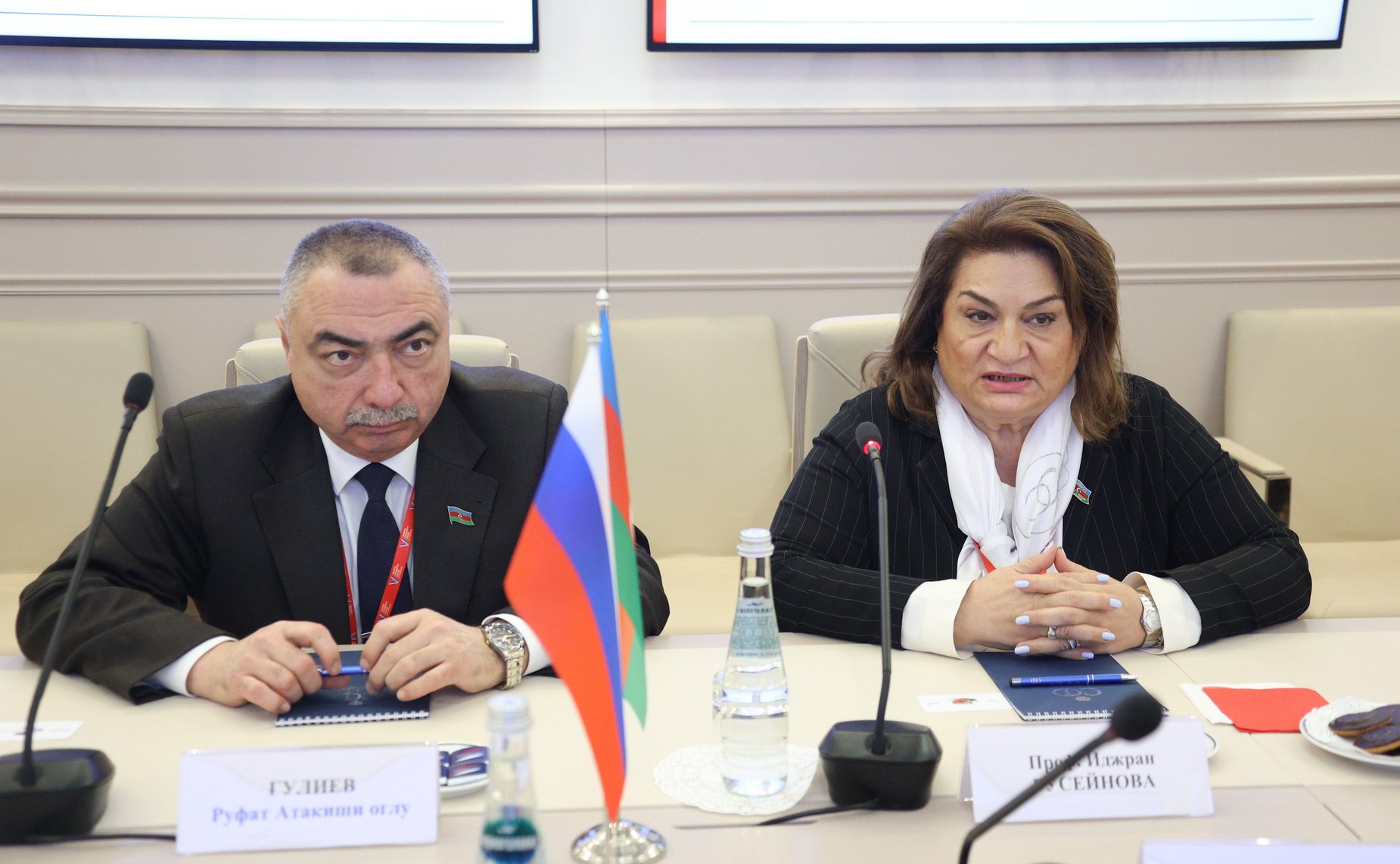 Встреча Елены Перминовой c председателем Комитета по вопросам семьи, женщин и детей Милли Меджлиса Азербайджанской Республики