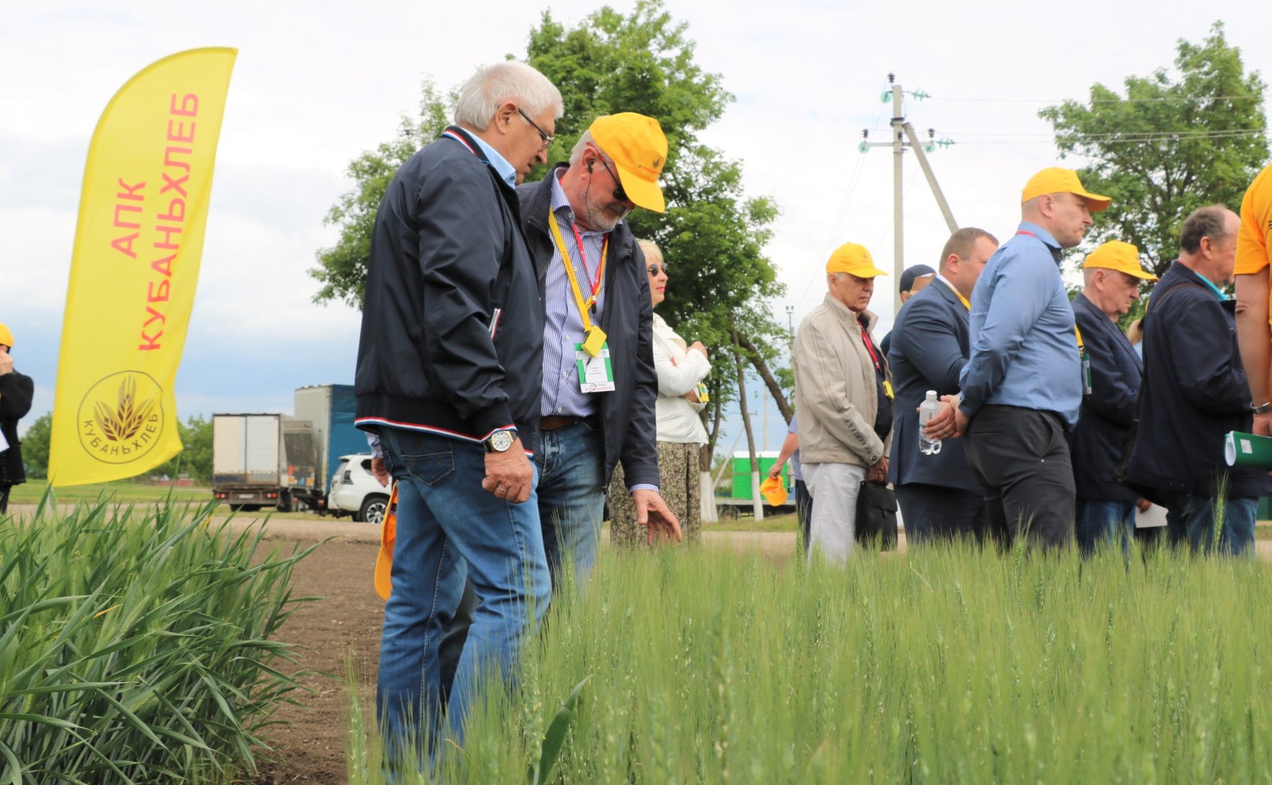 В районах Кубани проходят традиционные мероприятия – Дни поля