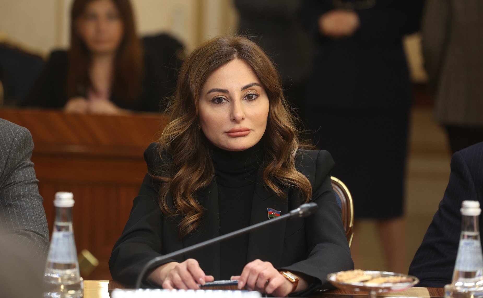 Встреча Председателя СФ Валентины Матвиенко с Председателем Милли Меджлиса Азербайджанской Республики