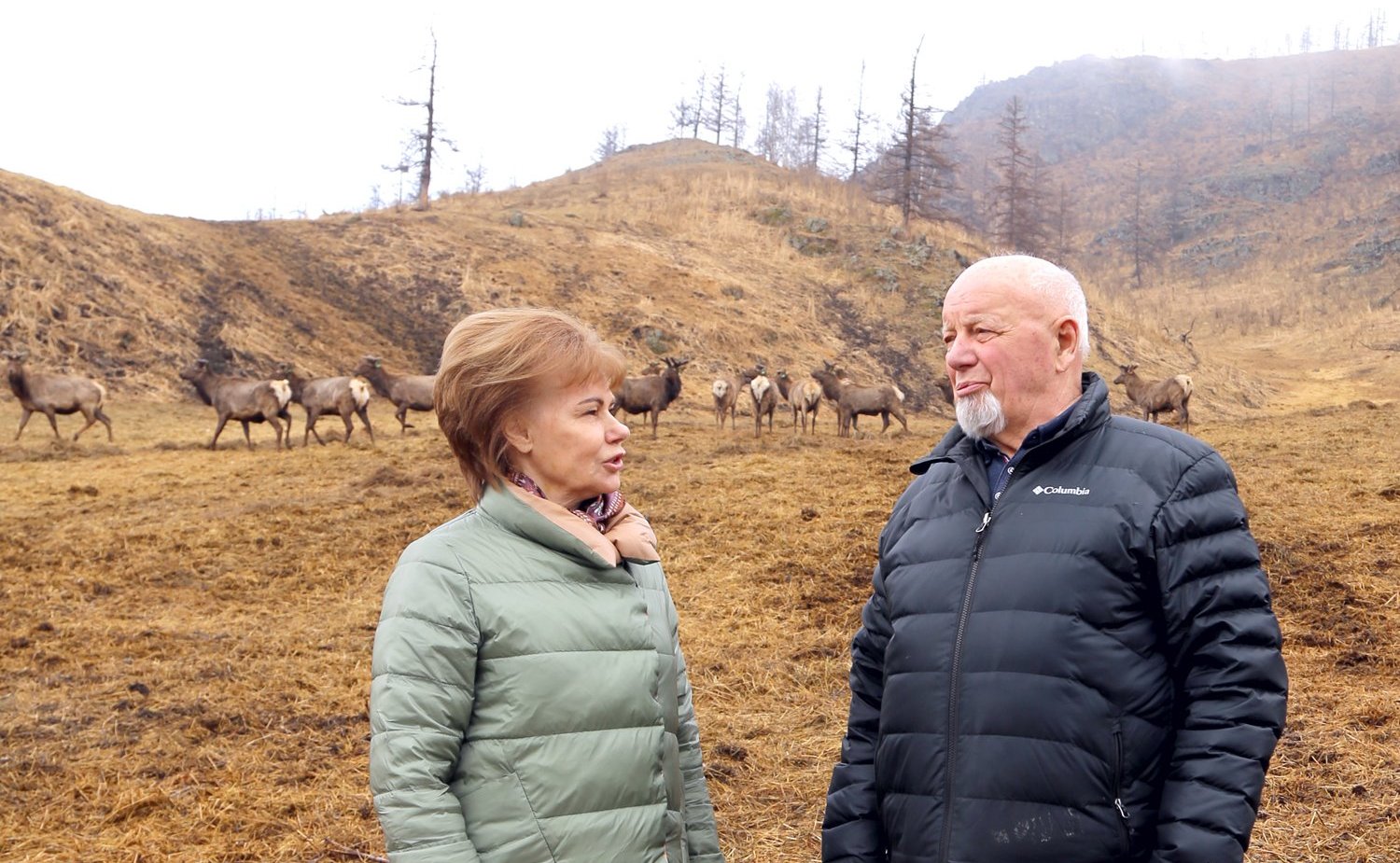 Татьяна Гигель в ходе рабочей командировки по региону побывала в мараловодческом хозяйстве ООО «Марал Толусома» Шебалинского района