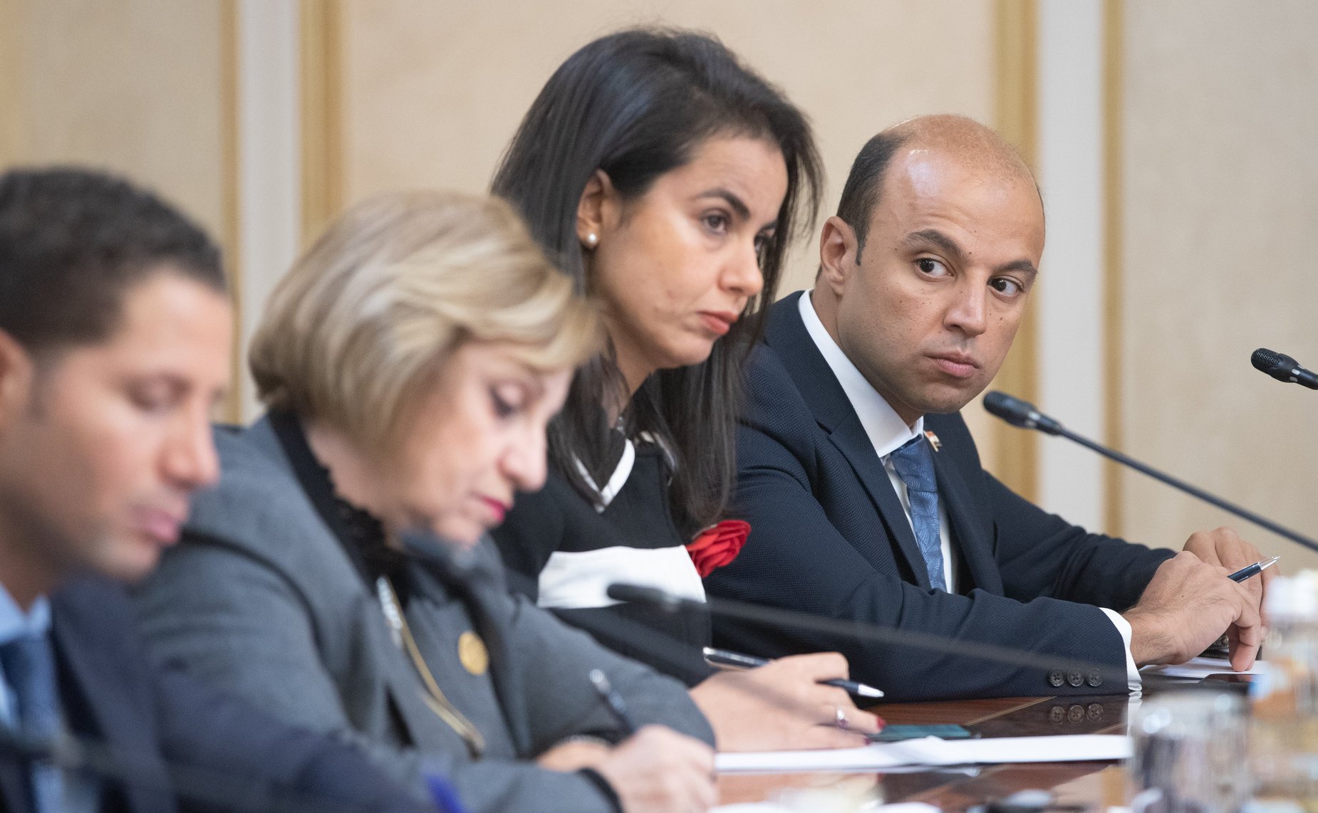 Встреча Ильяса Умаханова с делегацией Комитета по международным делам Палаты представителей Арабской Республики Египет во главе с председателем Комитета Каримом Дарвишем