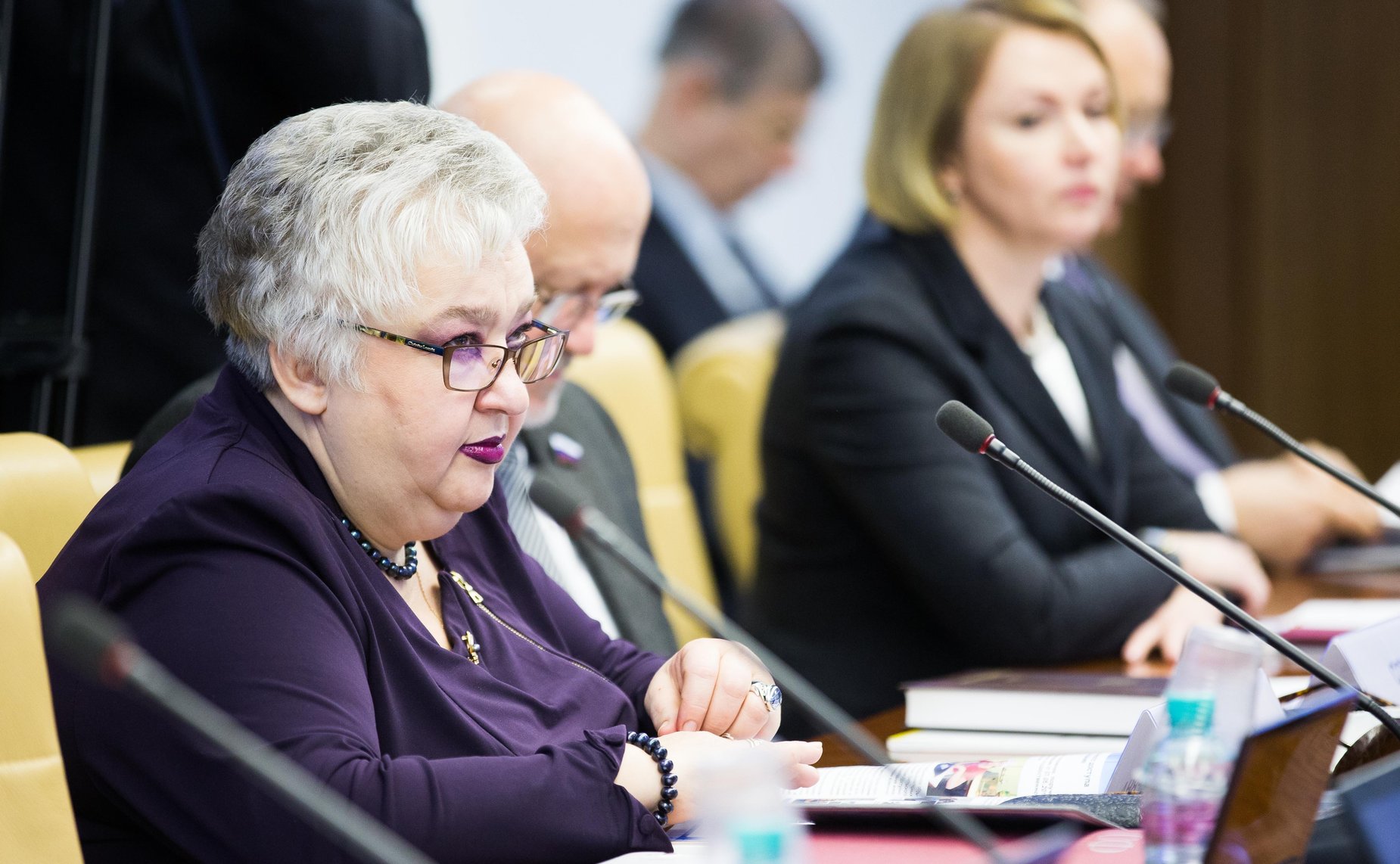 И. Тихонова на заседании Комитета СФ по науке, образованию и культуре