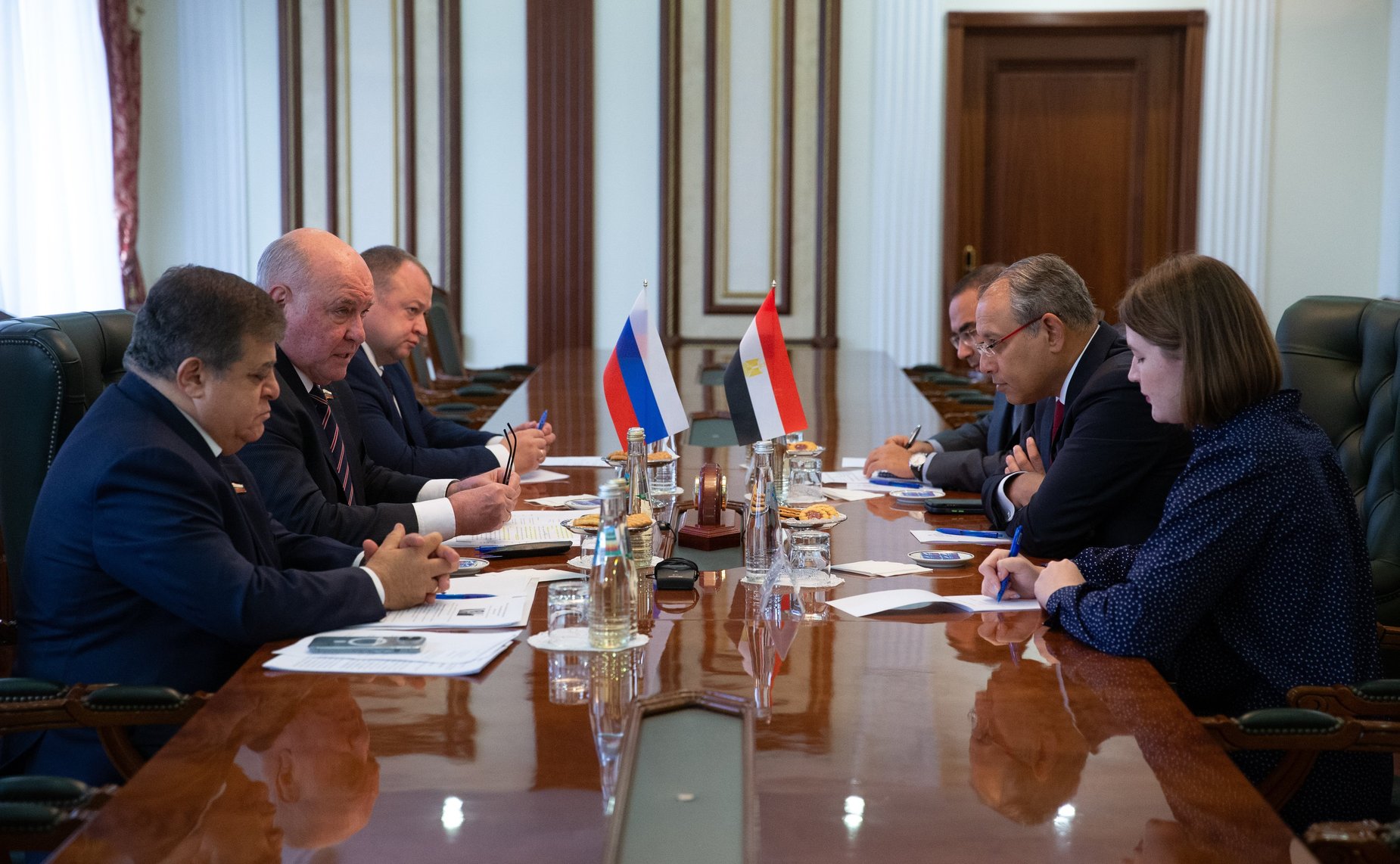 Встреча председателя Комитета Совета Федерации по международным делам Григория Карасина с Послом Египта в России Назихом Нагари