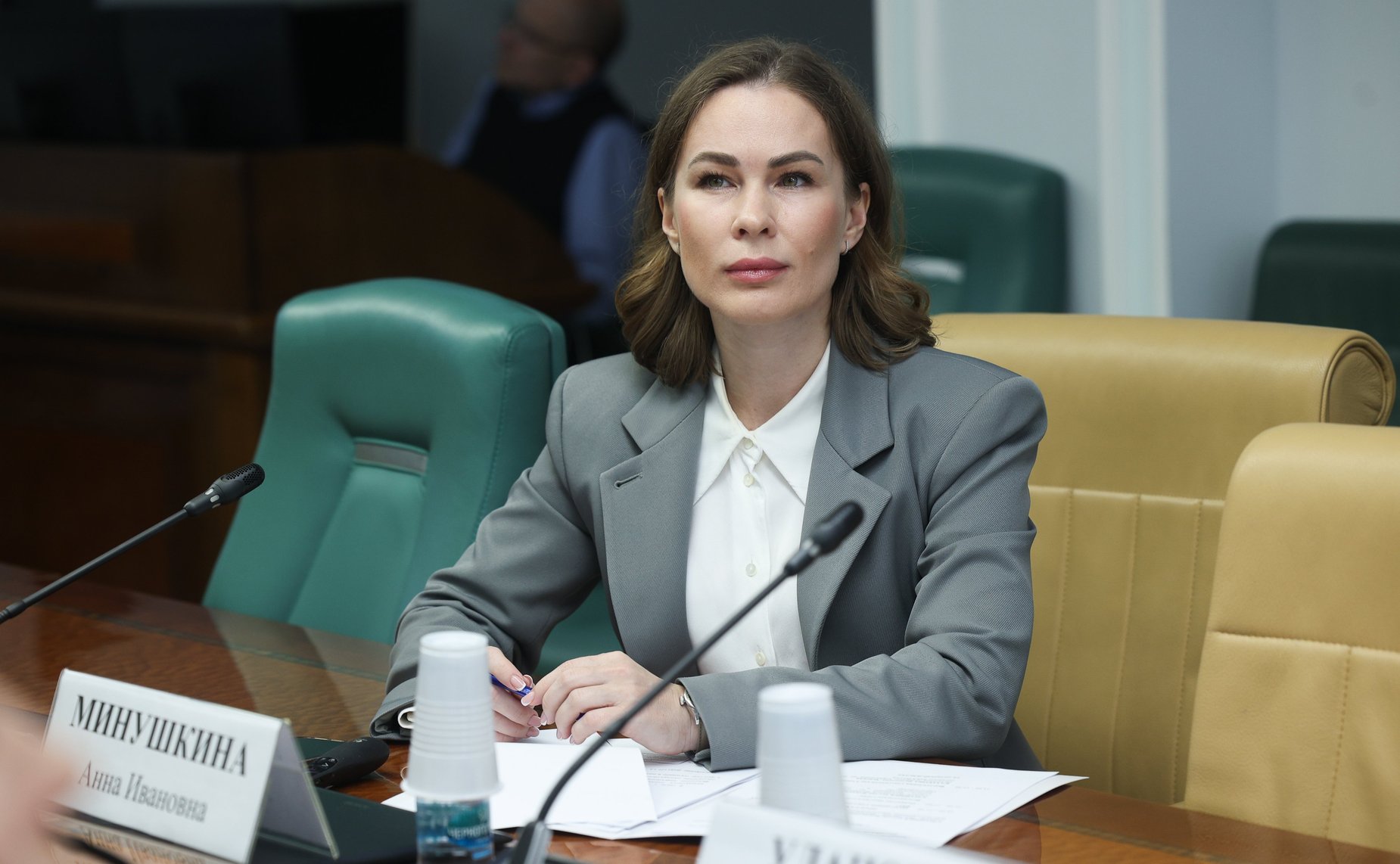 Круглый стол Комитета СФ по конституционному законодательству и государственному строительству «Законодательное обеспечение государственной миграционной политики Российской Федерации в 2025 году: состояние и перспективы»