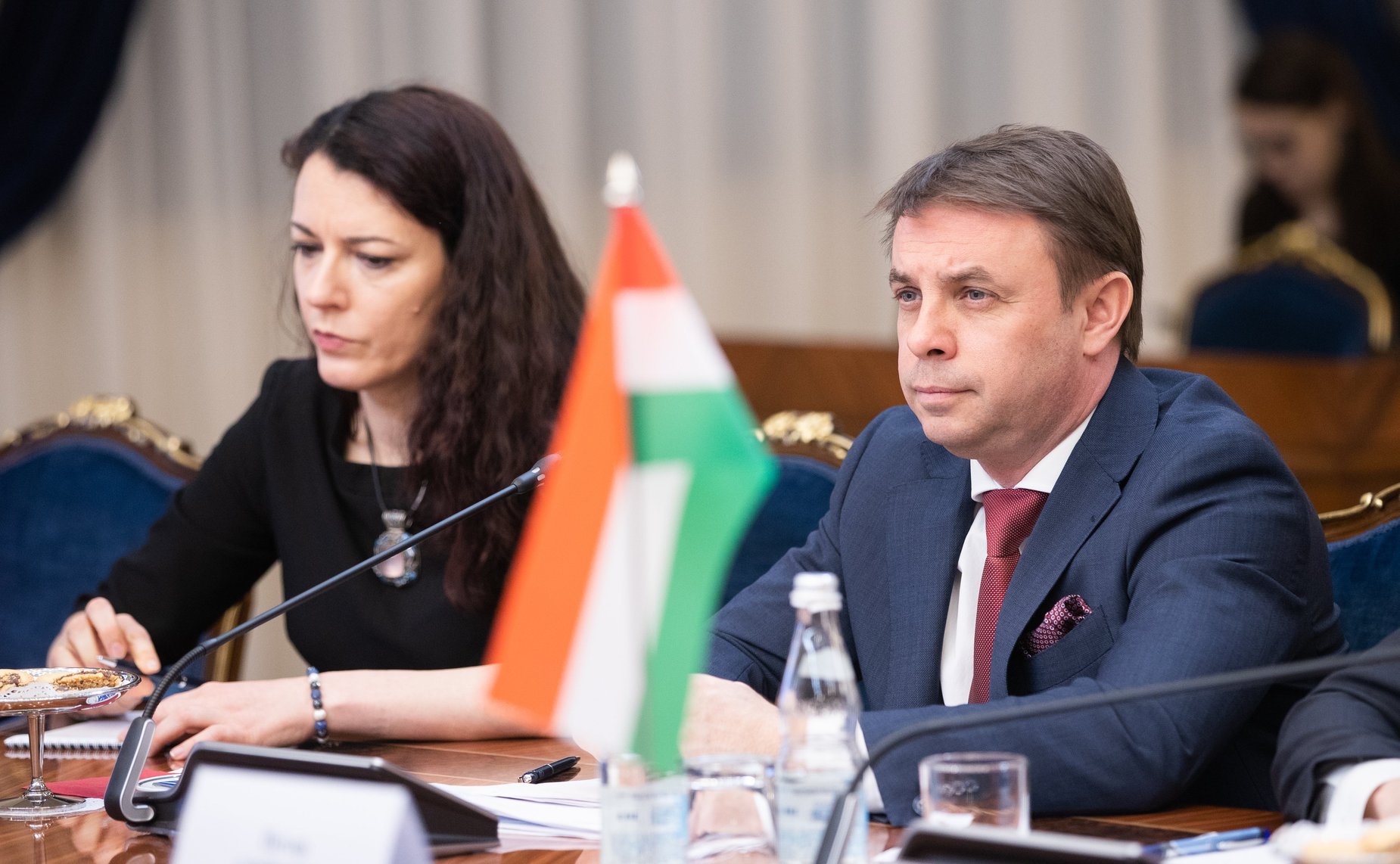 Встреча Николая Федорова с Министром внешнеэкономических связей и иностранных дел Венгрии Петером Сийярто