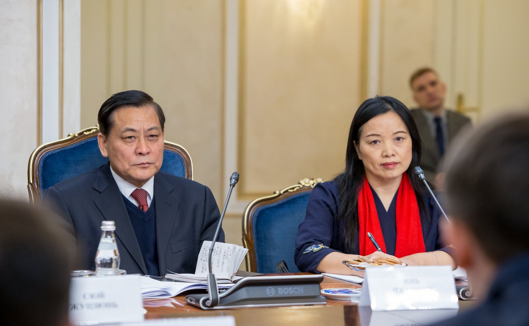 Встреча председателя Комитета Совета Федерации по экономической политике Д. Мезенцева с заместителем председателя Комитета Всекитайского собрания народных представителей КНР по вопросам финансово-экономической политики Инь Чжунцином